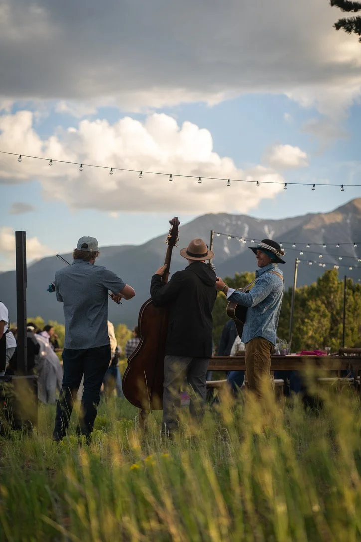 Three musicians playing guitars and a violin outdoors in a field with mountains and blue sky in the background, under string lights.