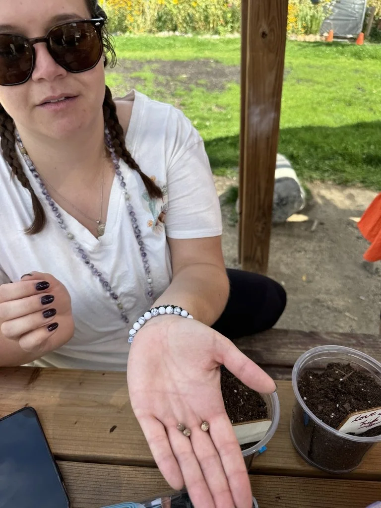 Outdoor wellness or creative workshop for mission-driven organizations in Nevada – participant displaying seeds or bulbs at wooden table facilitated by ALIGN Agency