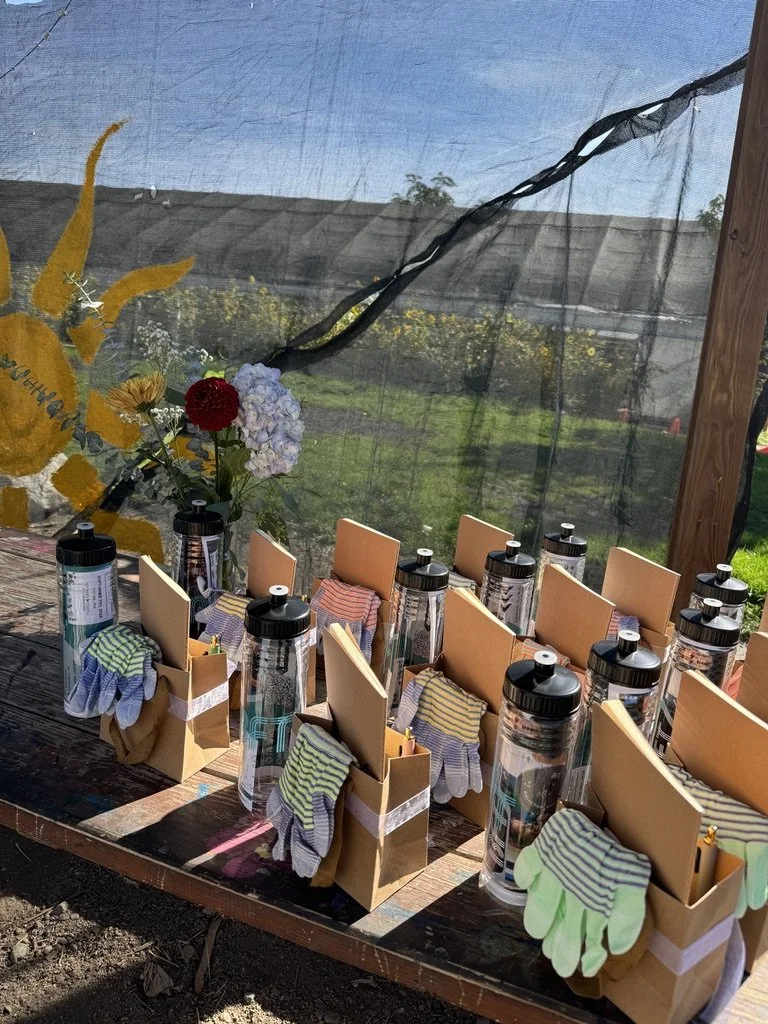 Outdoor wellness workshop giveaways for mission-driven organizations in Nevada – water bottles and gift bags with colorful socks by ALIGN Agency