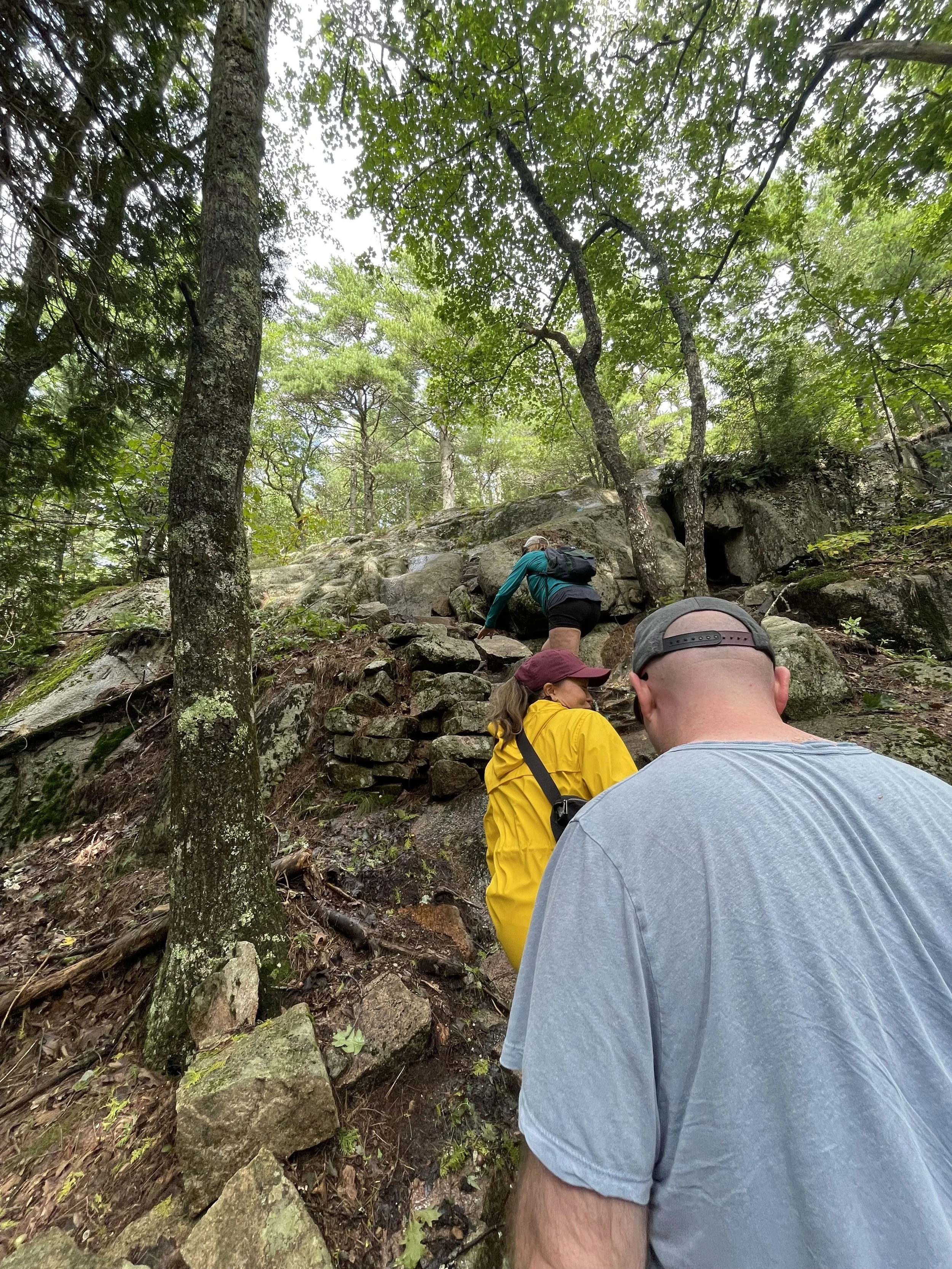 Outdoor wellness and team-building workshop for mission-driven organizations in Nevada – four participants hiking a rocky forest trail surrounded by green trees, facilitated by ALIGN Agency
