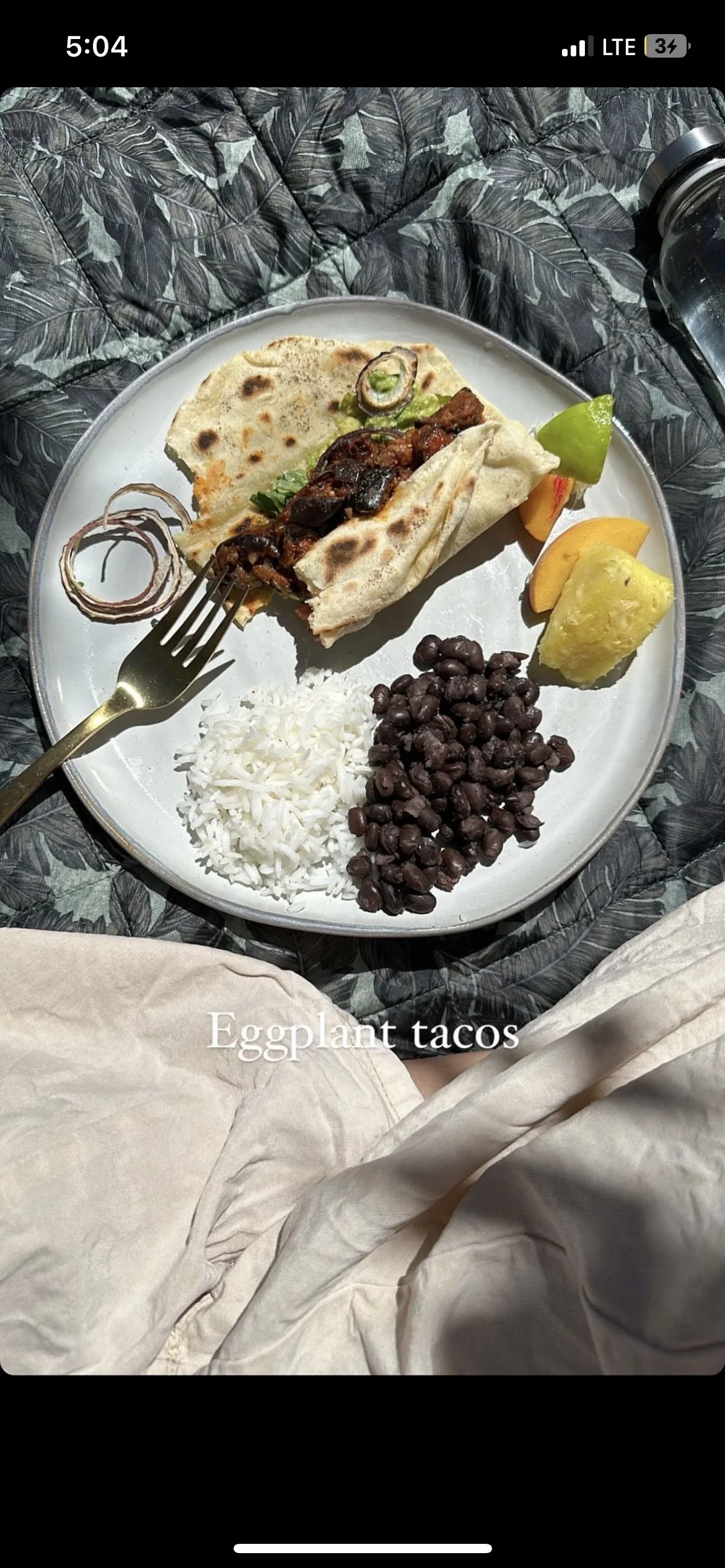 Plant-based meal served during outdoor wellness or community workshop for mission-driven organizations in Nevada – plate of eggplant tacos with rice, black beans, and fruit on dark leaf-patterned blanket, facilitated by ALIGN Agency