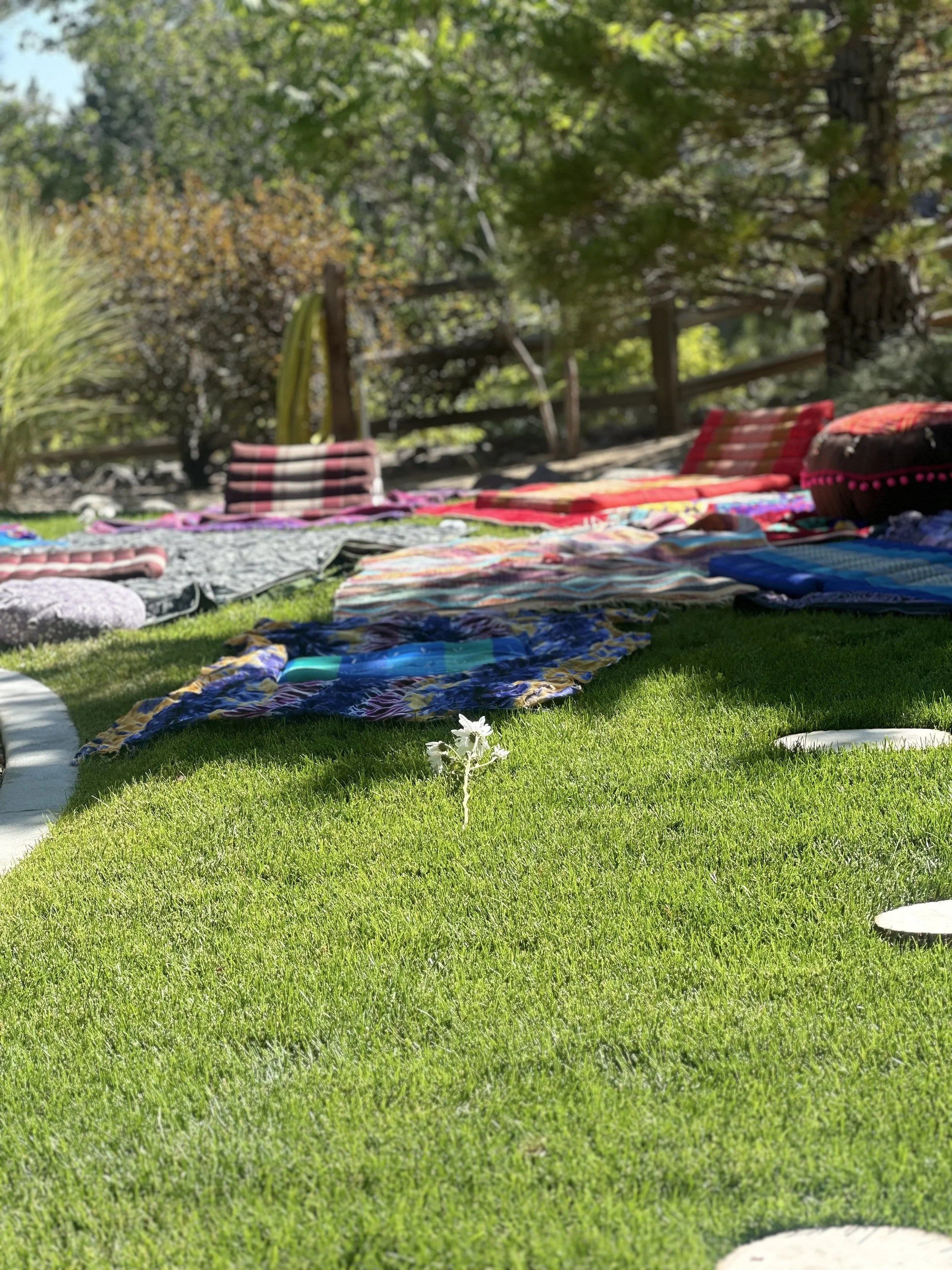 Outdoor retreat and wellness workshop for mission-driven organizations in Nevada – colorful blankets and pillows arranged on backyard lawn under trees on a sunny day, facilitated by ALIGN Agency