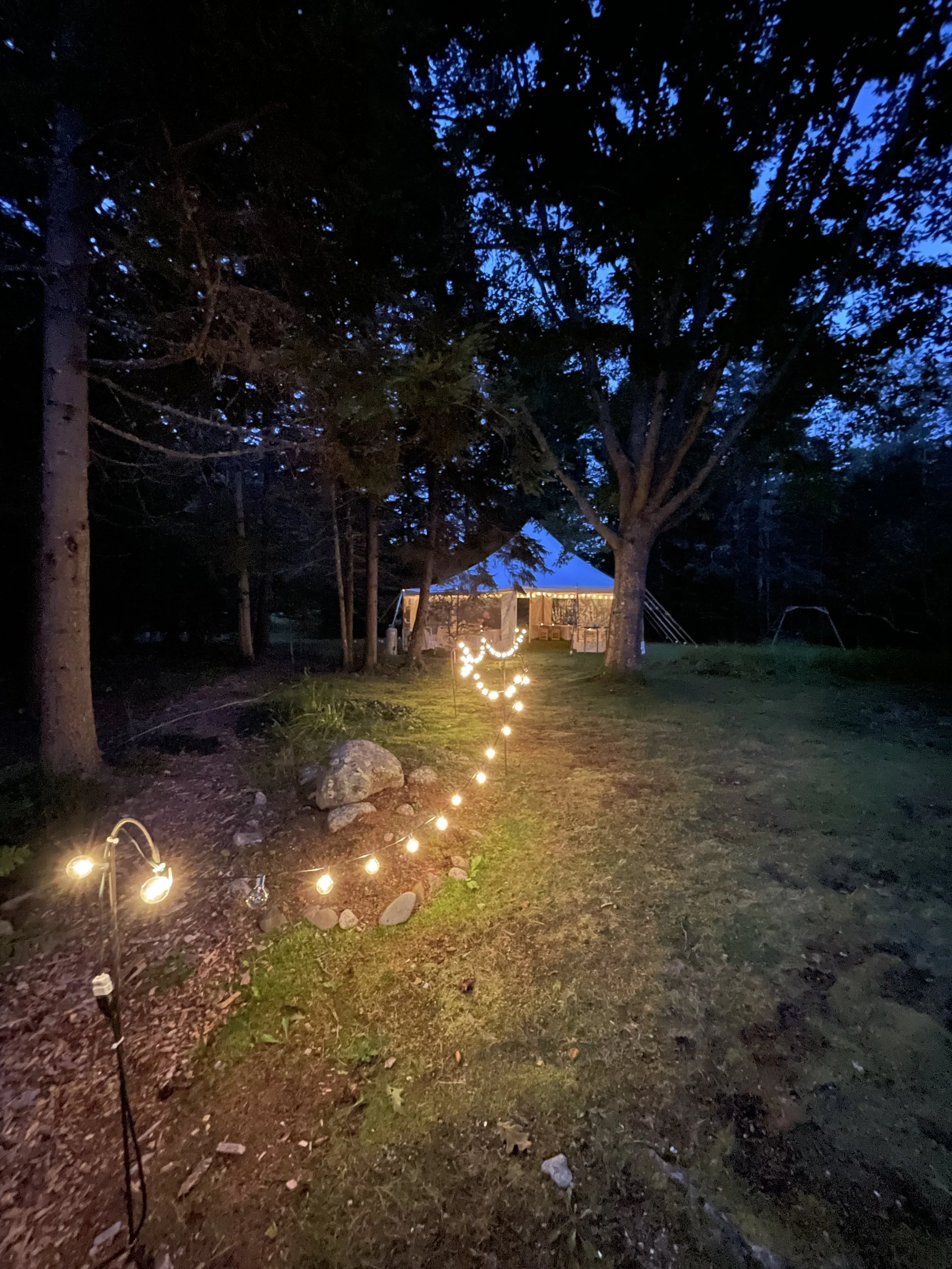 Nighttime outdoor retreat or wellness workshop for mission-driven organizations in Nevada – tent decorated with string lights surrounded by trees, facilitated by ALIGN Agency