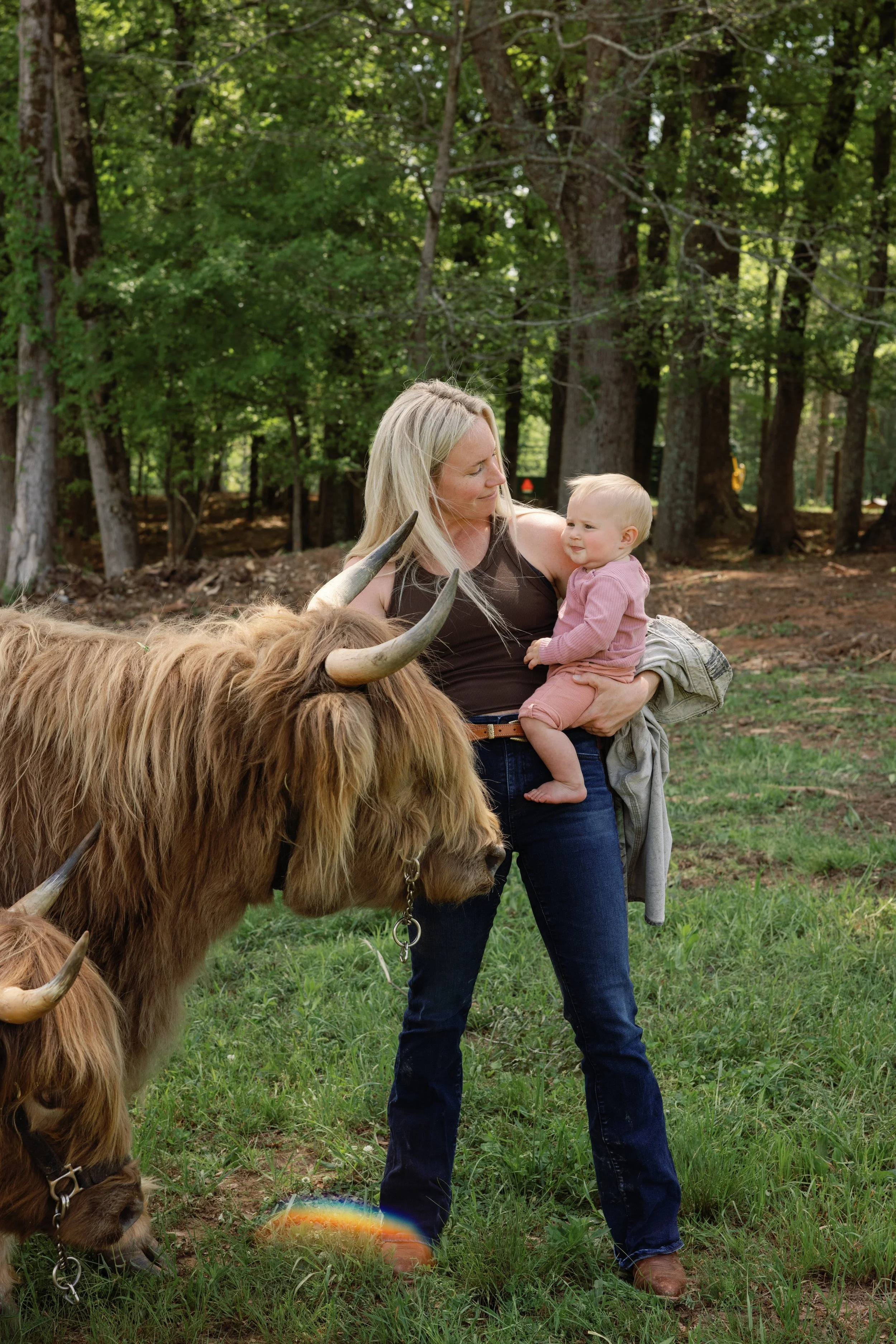 A woman holding a young child in front of Highland cattle in a wooded outdoor setting.