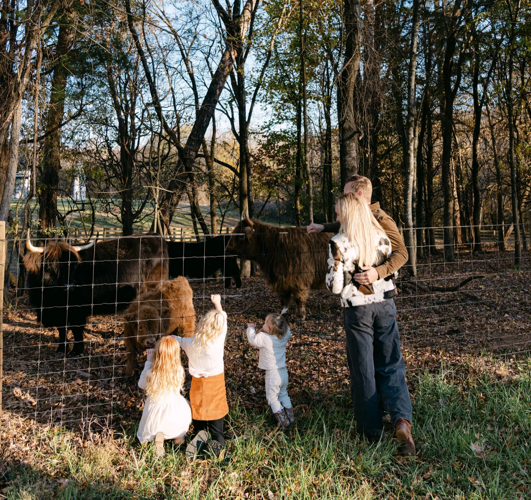 Family of three children and two adults at a farm petting area with Highland cattle behind a wire fence in a wooded area during daytime.