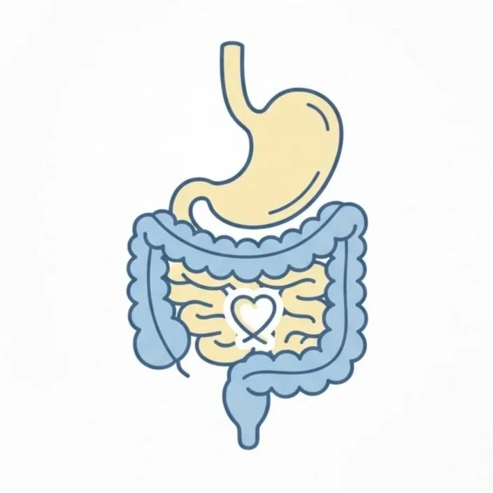 Illustration of a human intestines with a heart shape at the center.