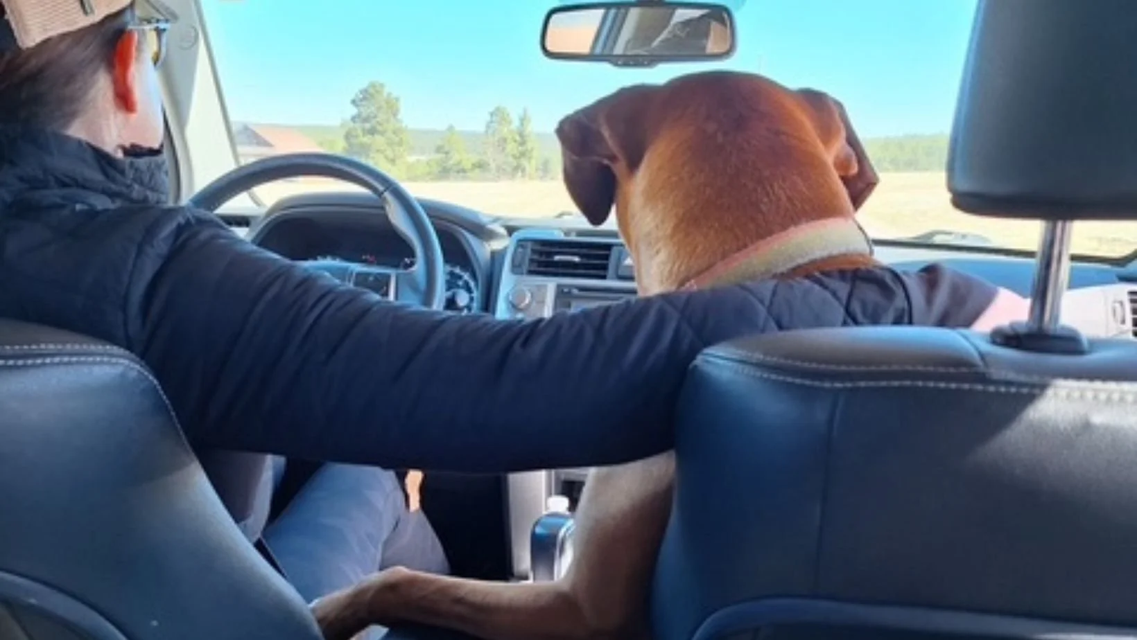 Why Do I Keep Repeating the Same Patterns?