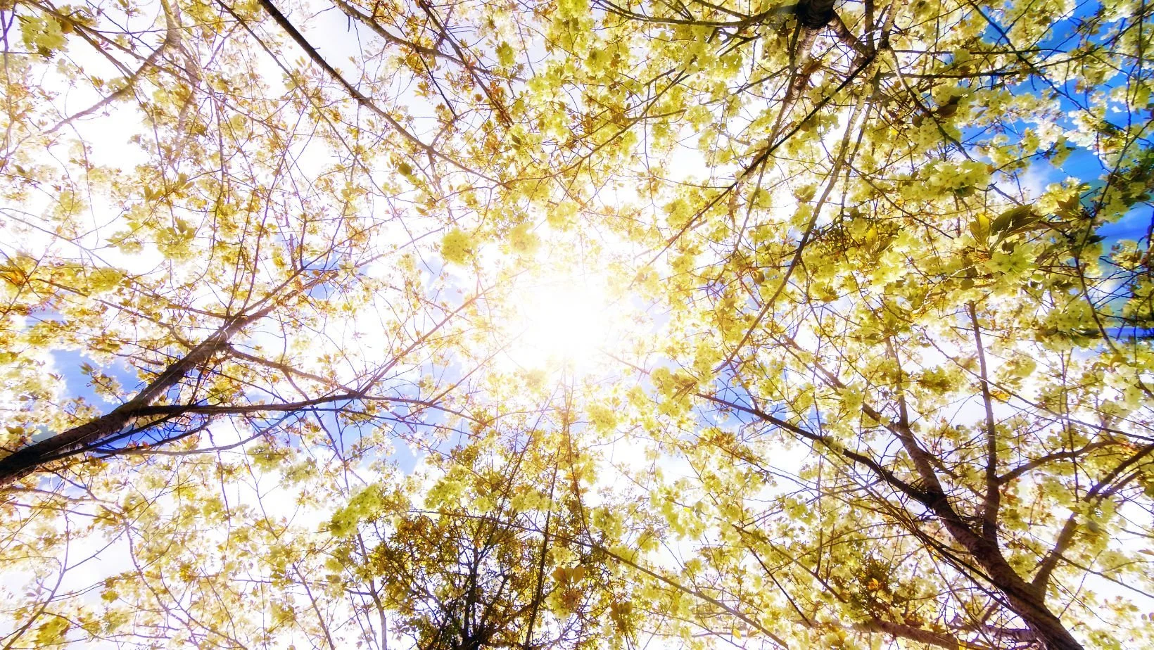 Five Ways To Quiet Imposter Syndrome