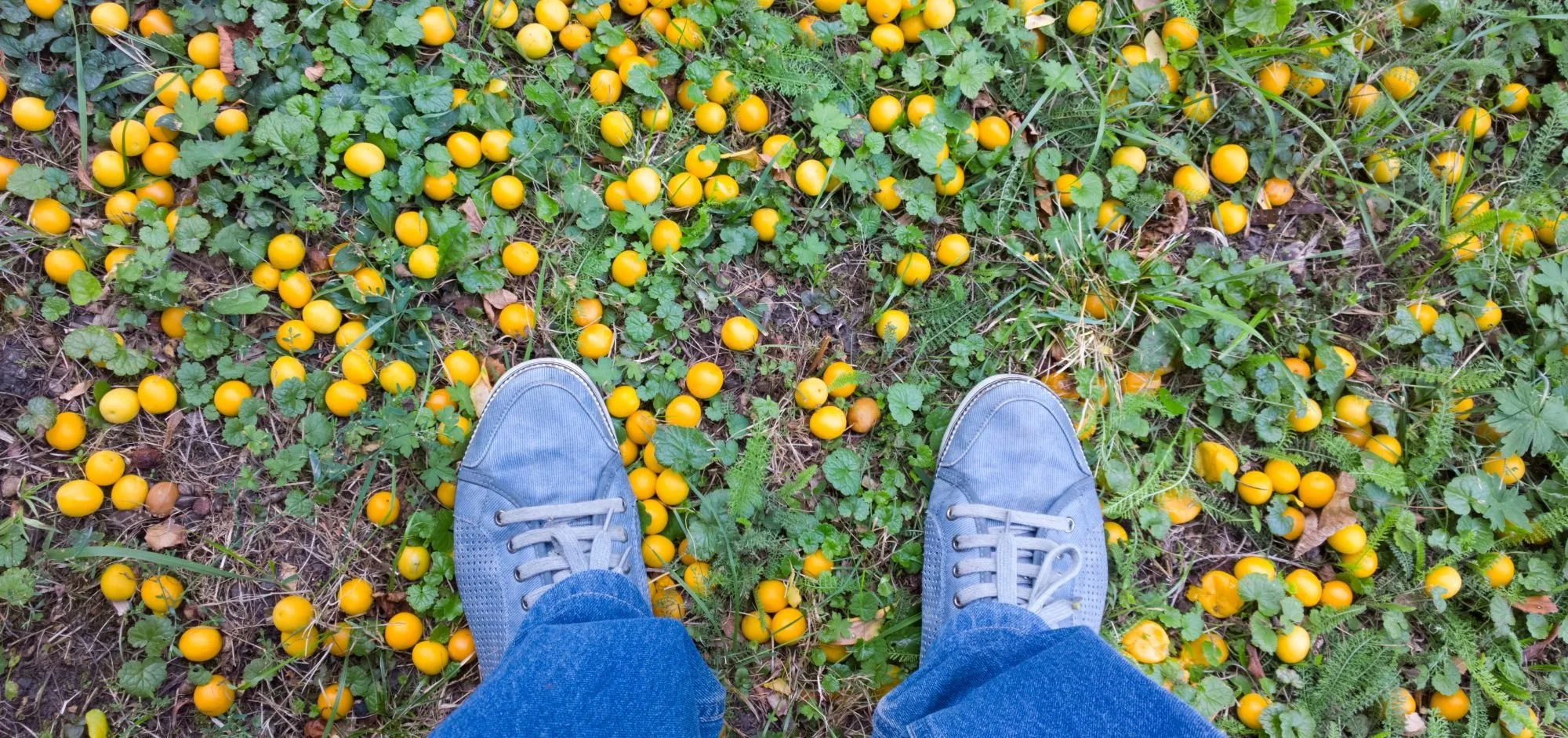 How Grounding Can Calm Anxiety &amp; Increase Clarity