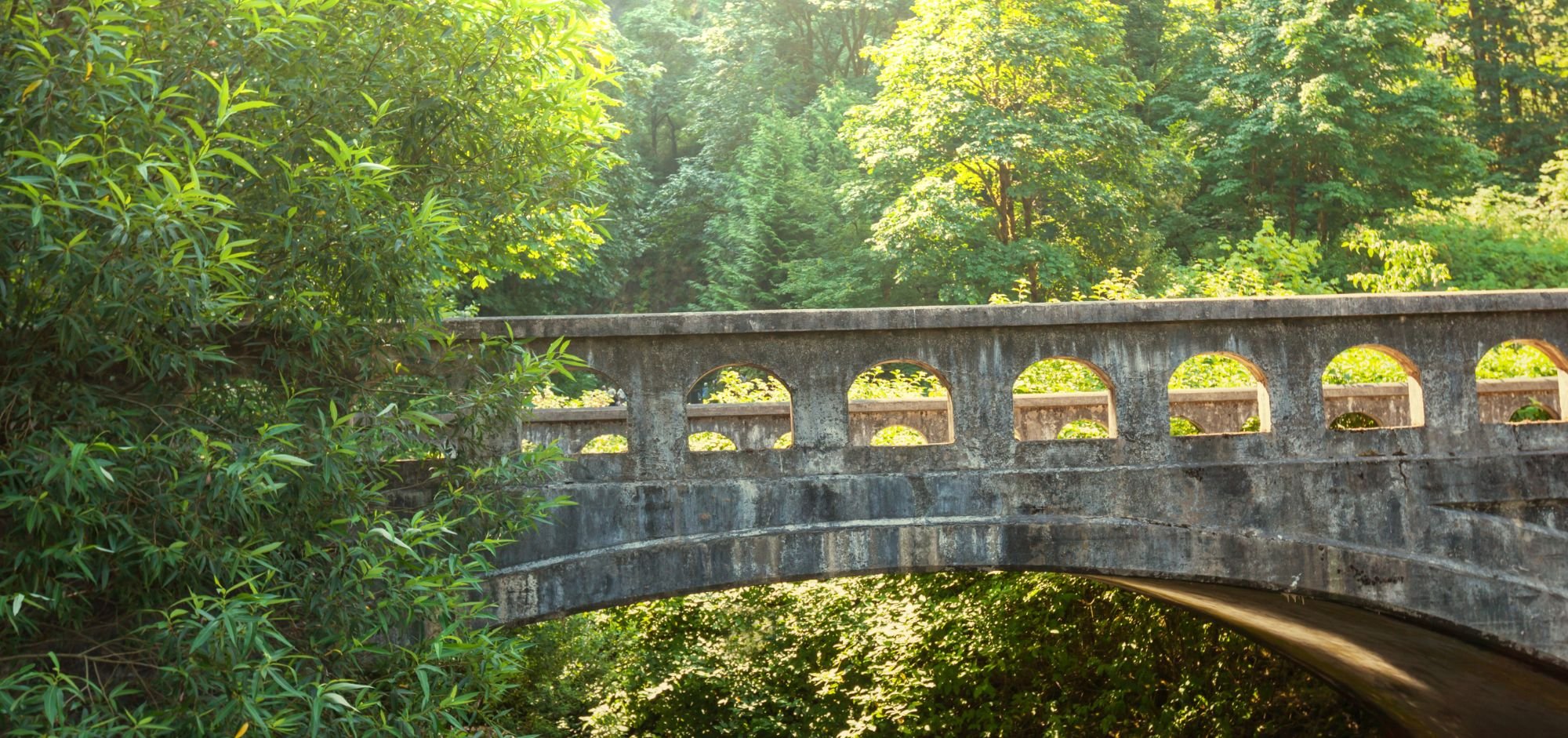 What Your Anger is Trying to Tell You