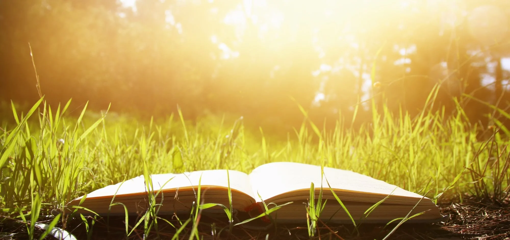 Deconstructing Faith: Therapy for Religious Trauma, Grief, &amp; Rebuilding