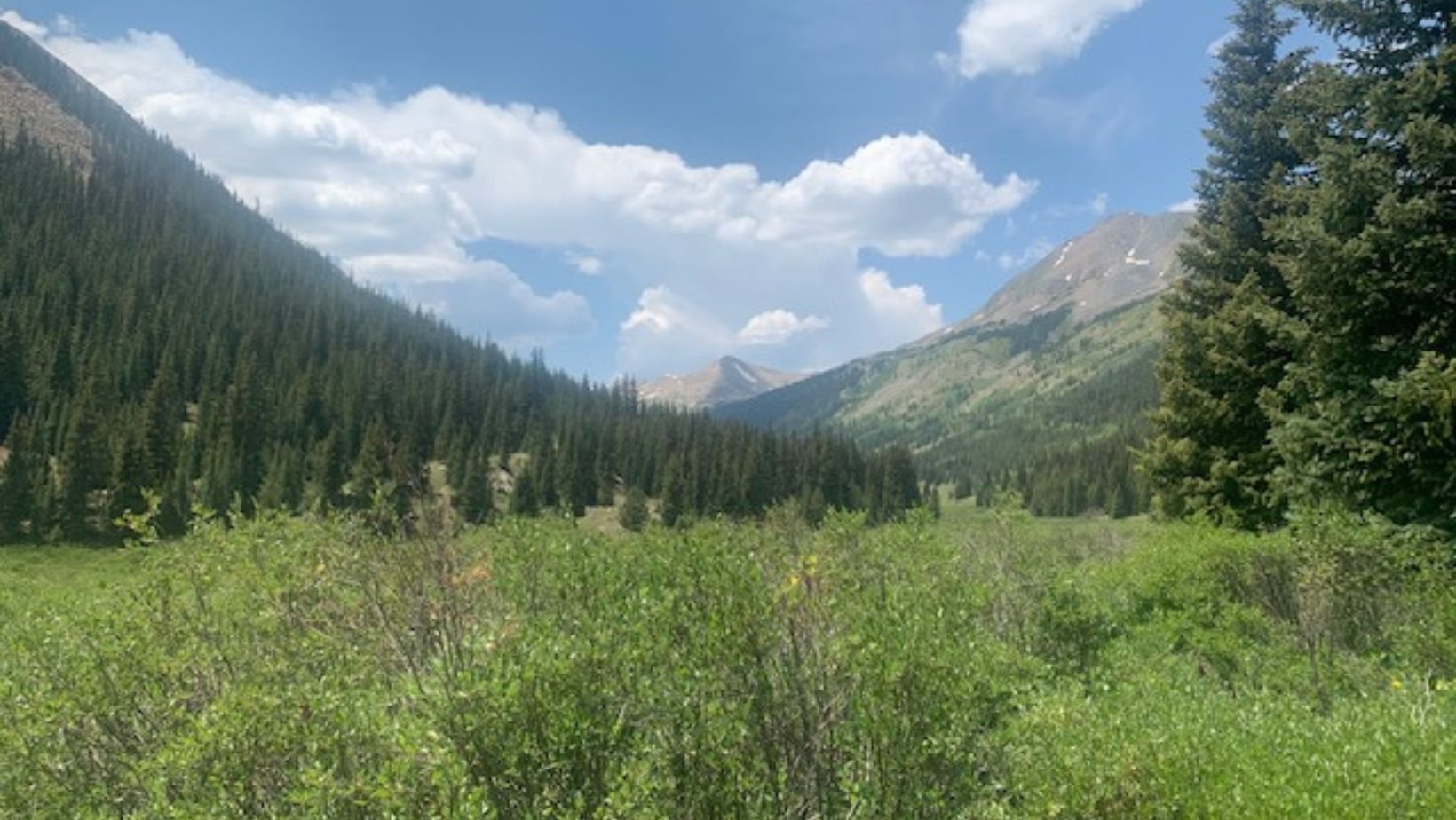 trauma therapy colorado springs