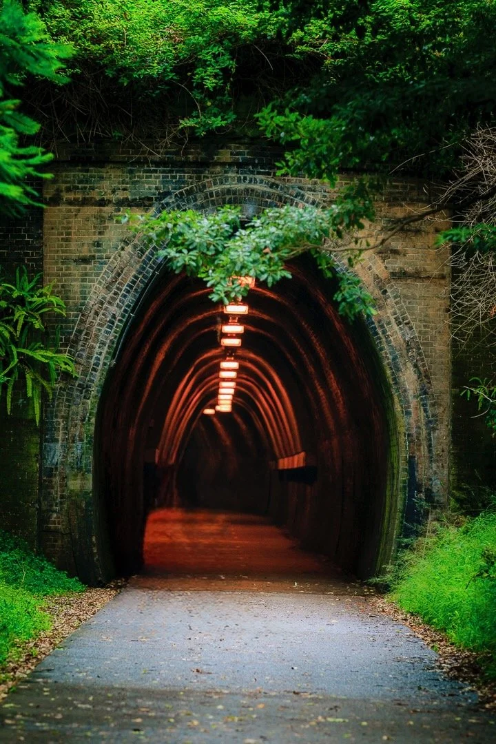 A brick tunnel with arched entryway, illuminated by ceiling lights, surrounded by green trees and bushes.