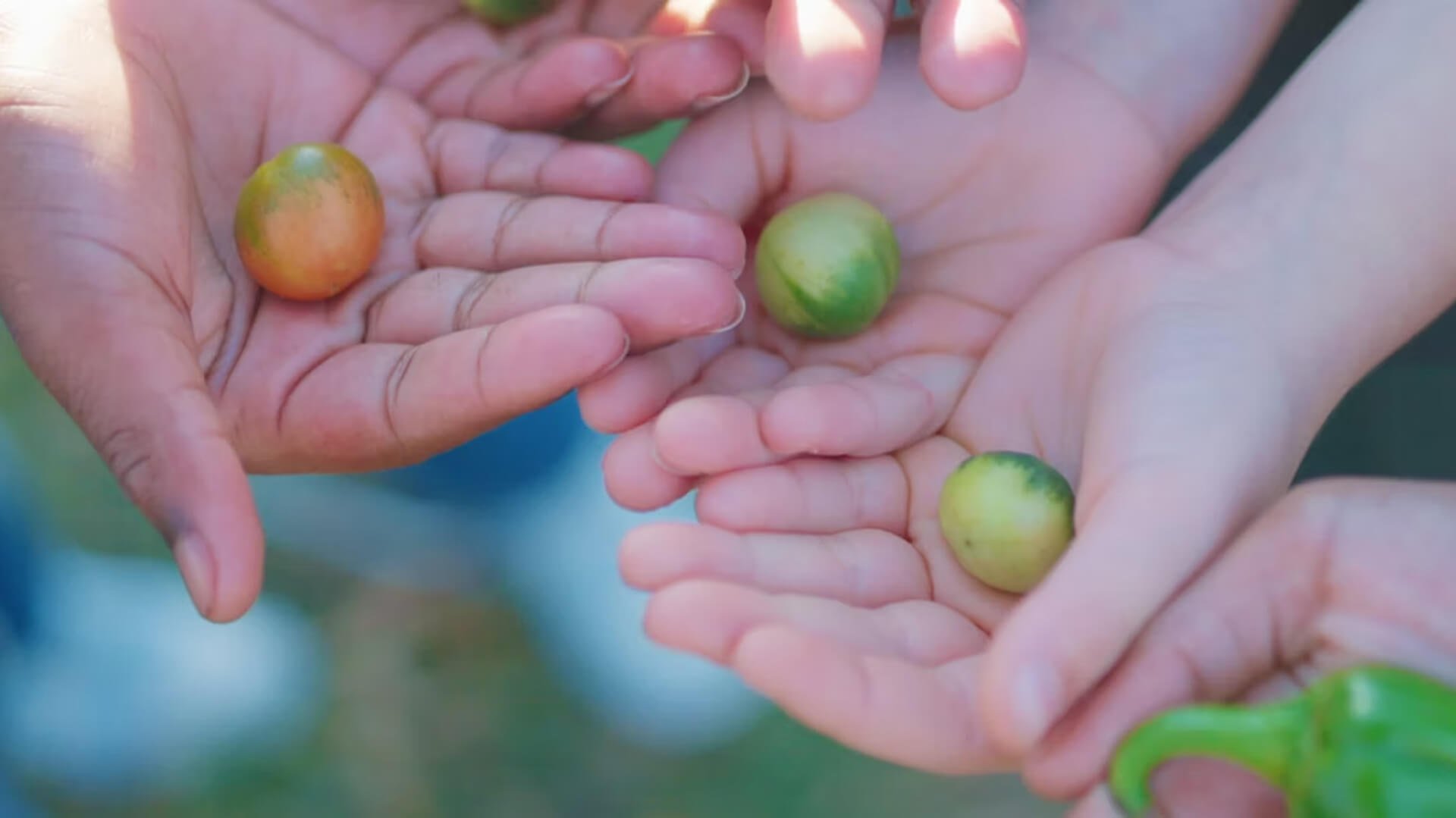 Fueling Change: How food is powering health across North Carolina