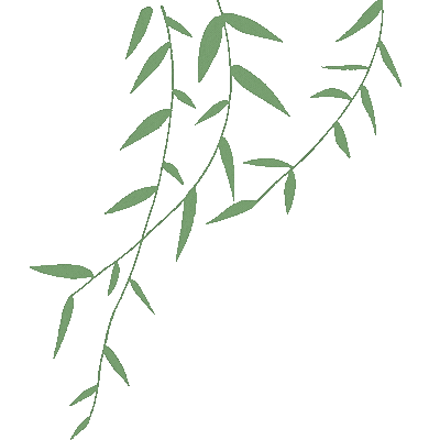 animation of light green vines with leaves swaying gently