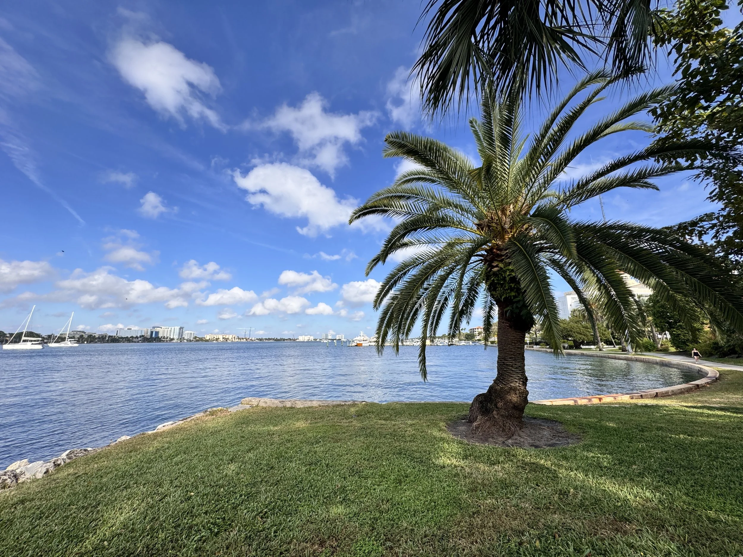 Waterfront and palm trees in West Palm Beach, Florida