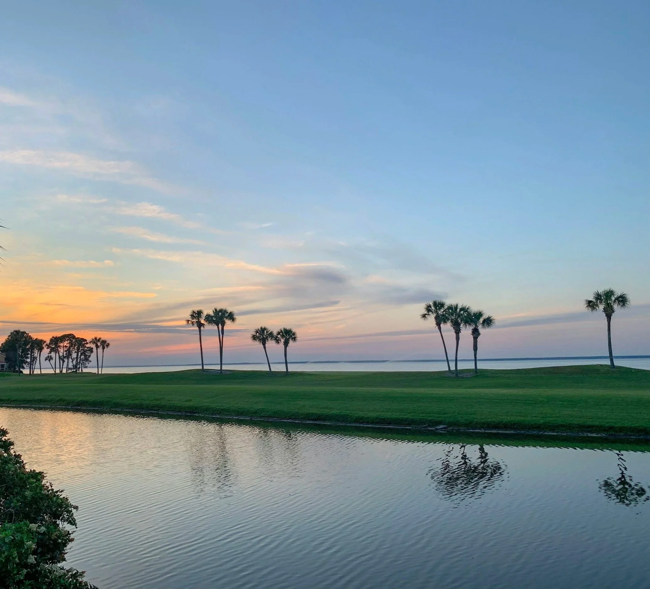 Palm trees and waterfront landscape in Palm Beach, Florida