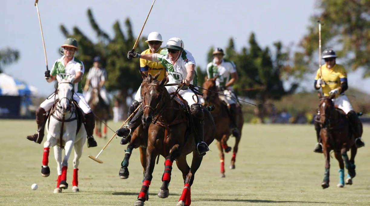 Sentebale Polo, Barbados