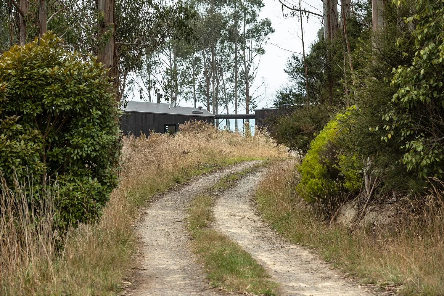 5278-The-Cliffs-Dunedin 05 1500x1000px.jpg