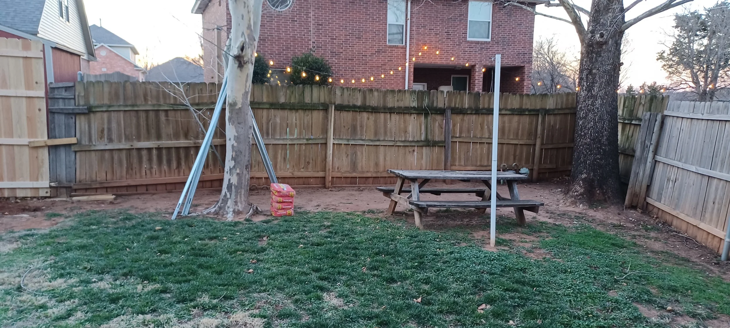20260219_181528.jpg