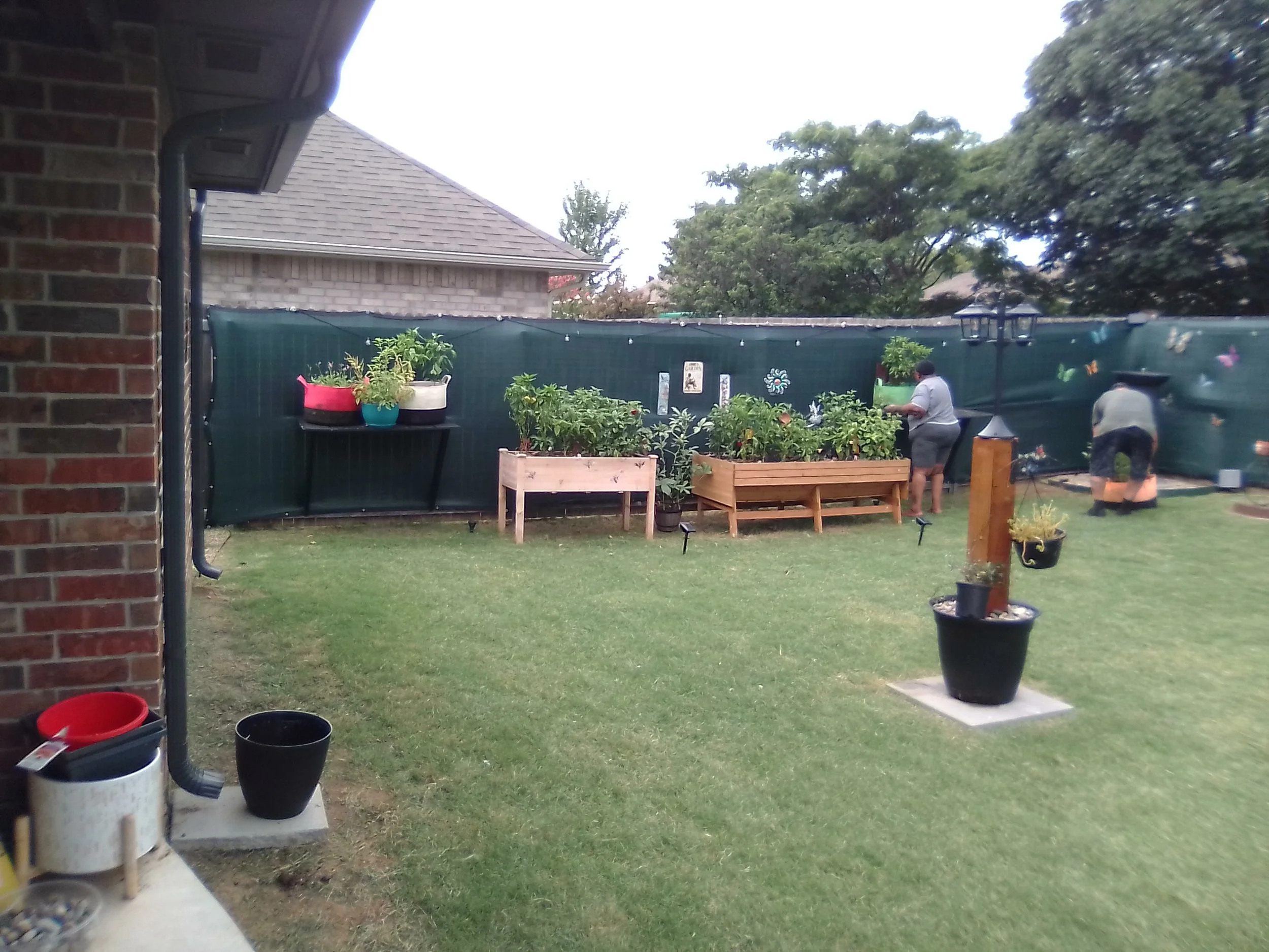 IMG_20260724_141407.jpg