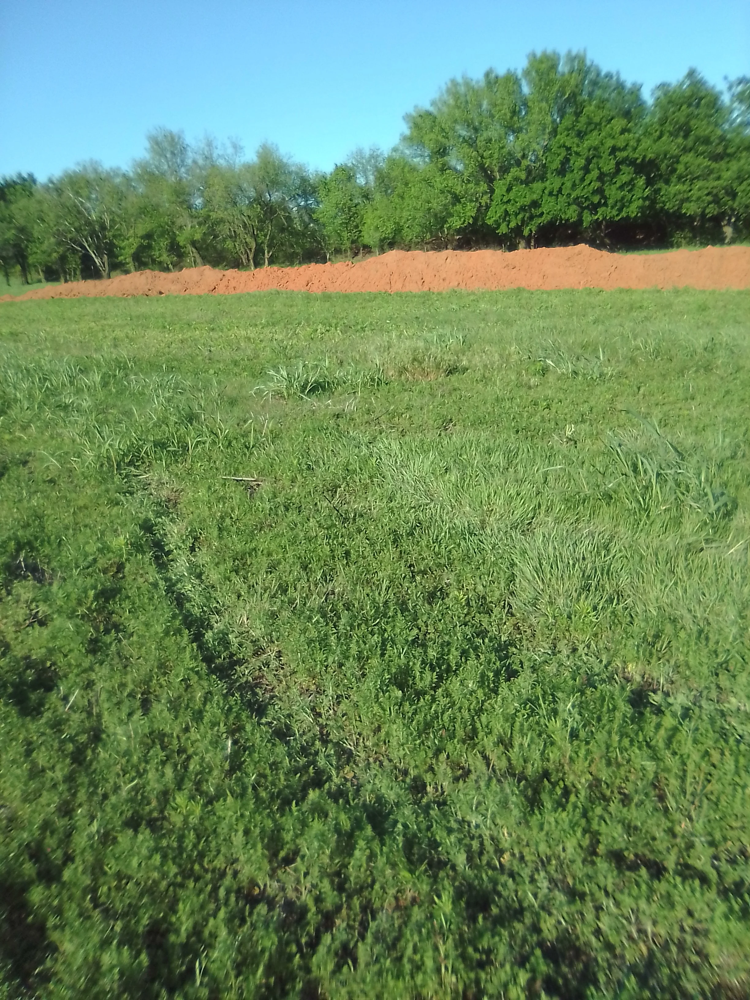 IMG_20260419_180126.jpg