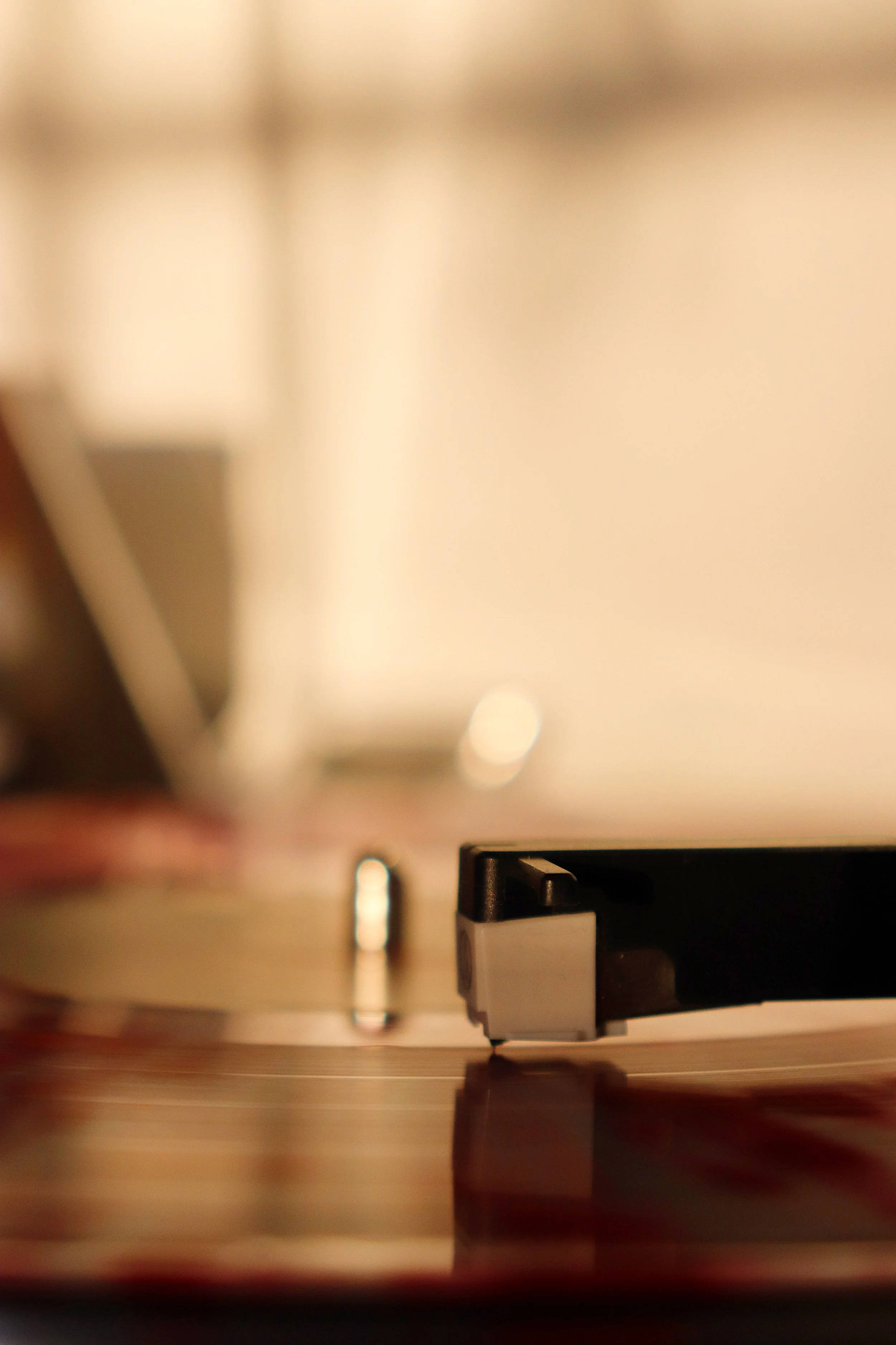 Record Spin (2021)