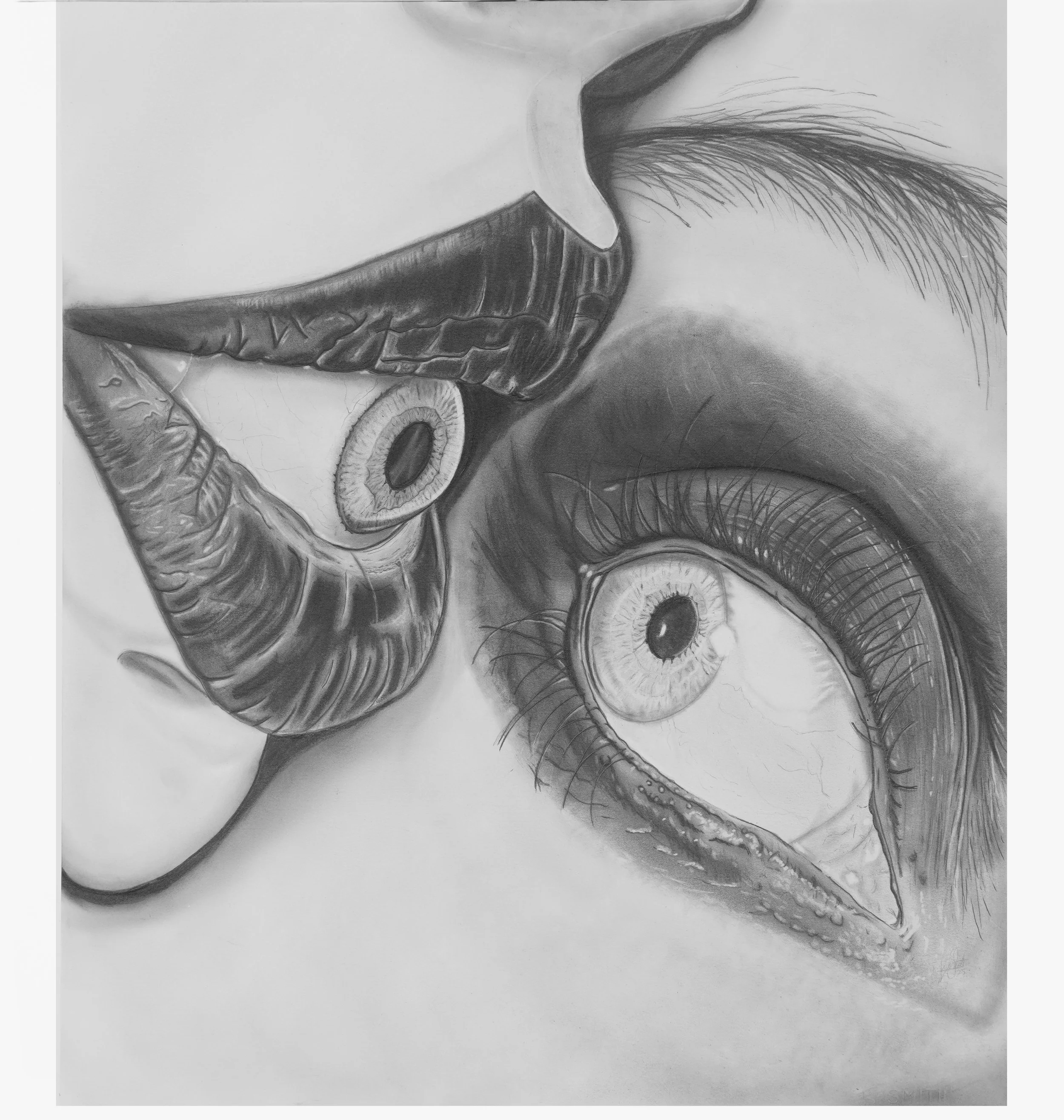 Two Eyes-19x20-300 dpi.jpg