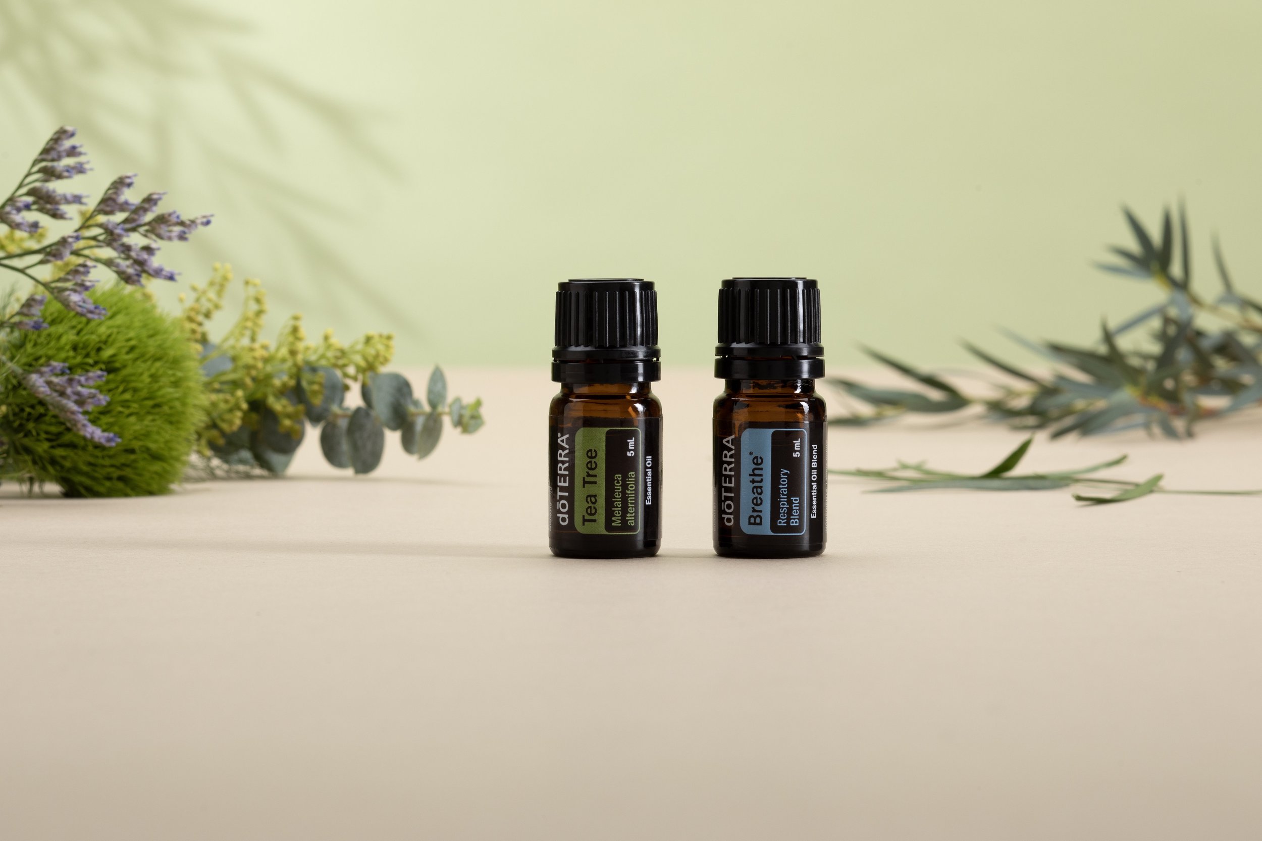 20250103_Doterra Essential Oils_179 copy.jpeg