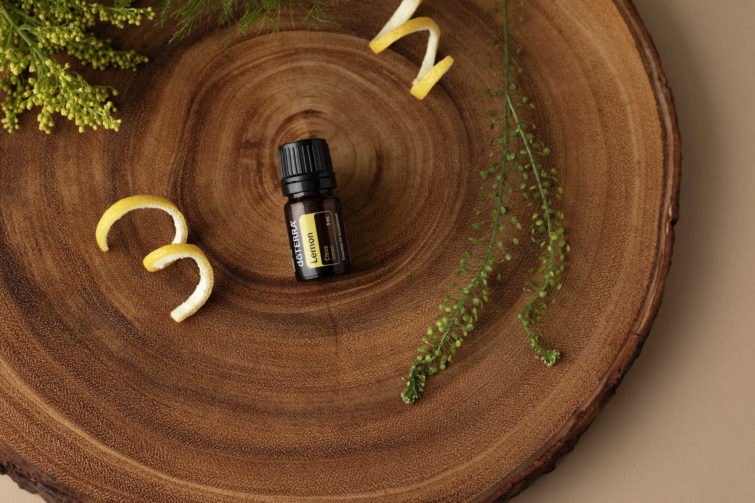 20250103_Doterra Essential Oils_255 copy.jpeg
