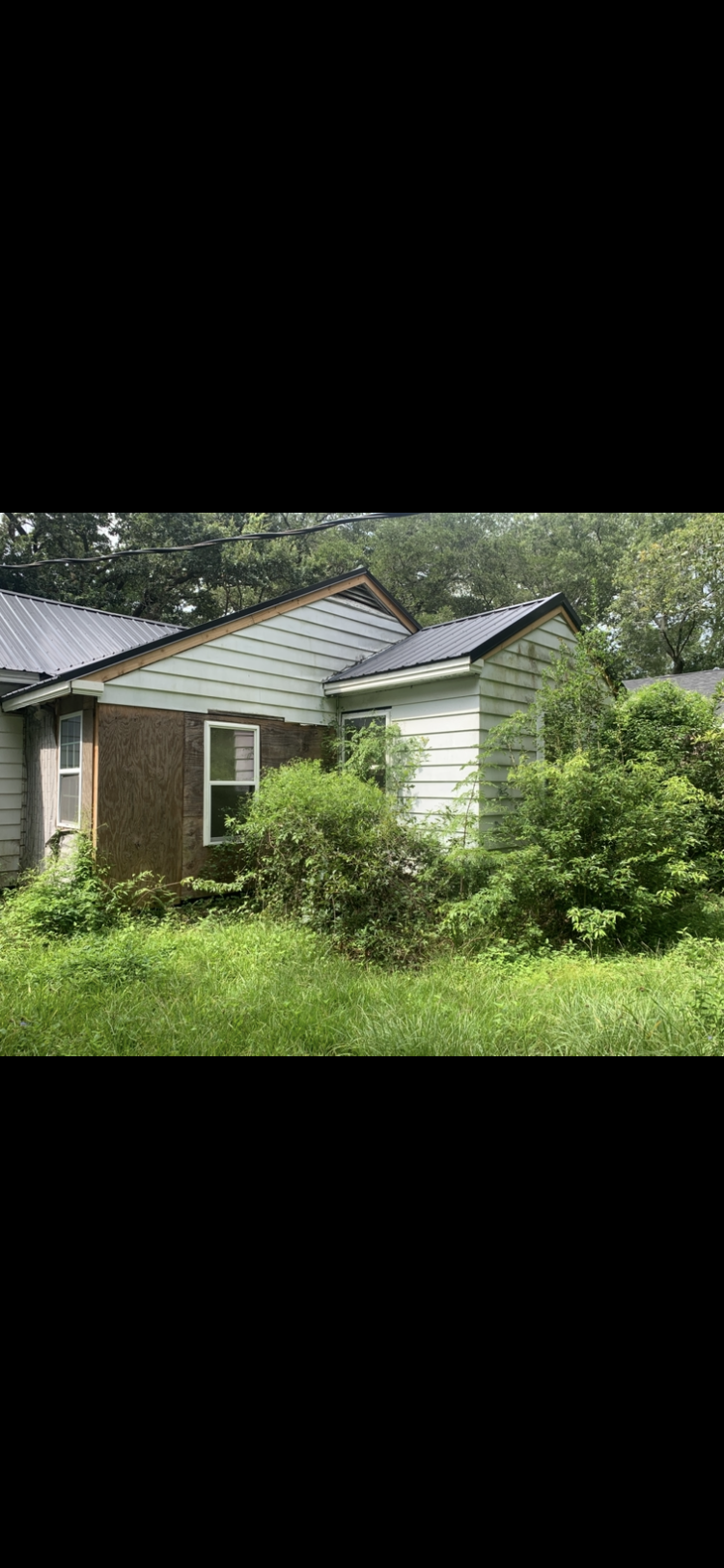 An image of Greenspacing.