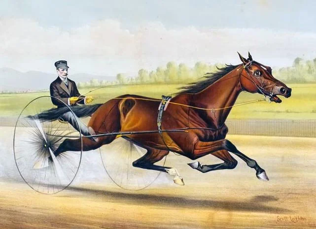 St. Julien, Raised Far From the Track