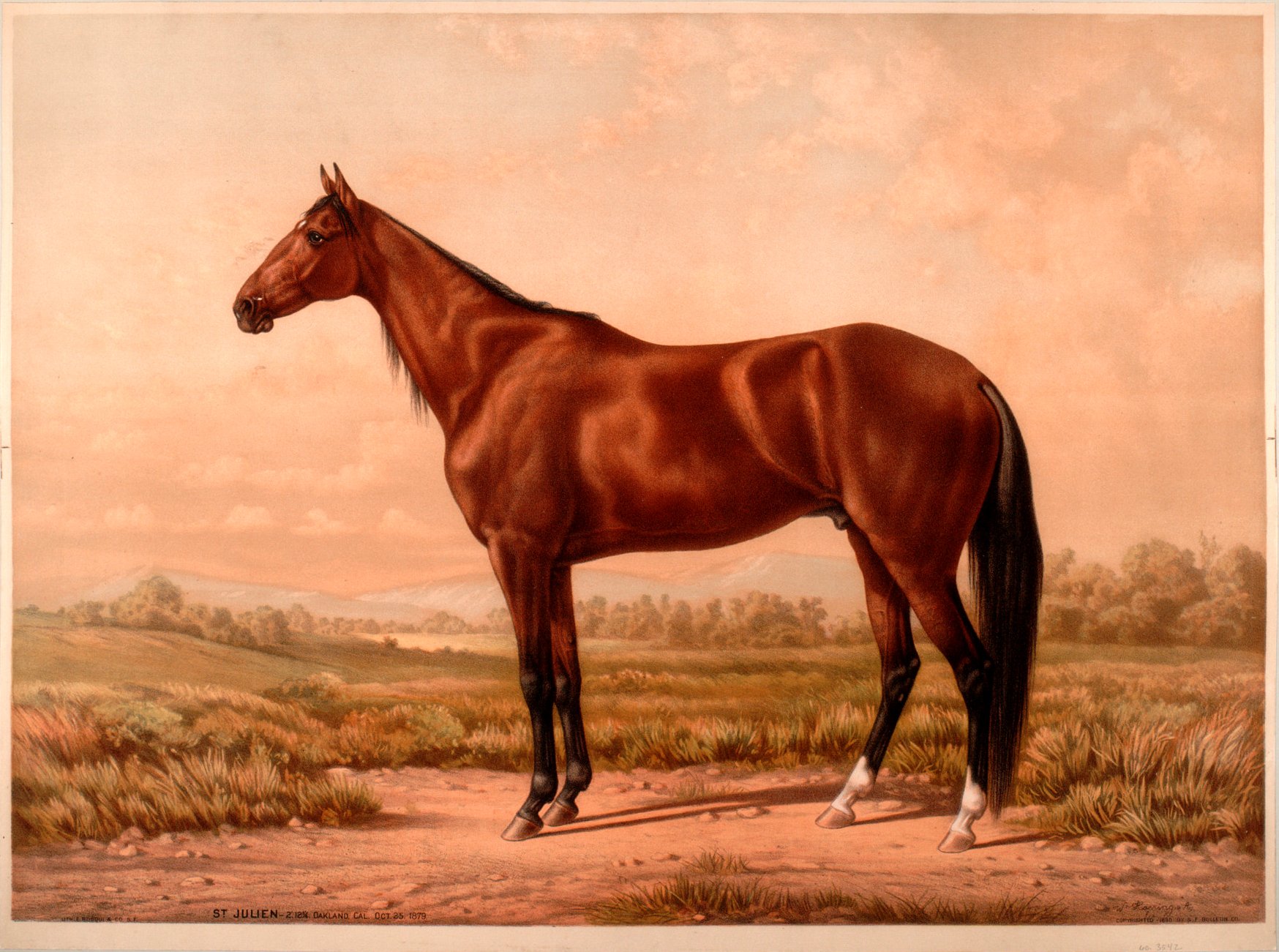 Color lithograph showing a bay trotting horse standing in profile in a grassy meadow, with trees and low hills in the background.