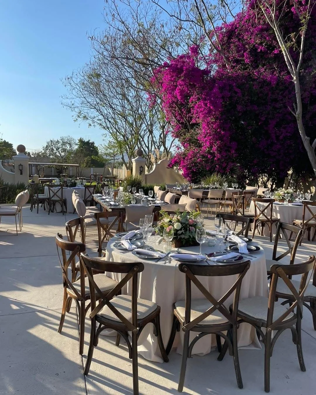 WhatsApp Image 2026-01-06 at 15.27.03.jpeg