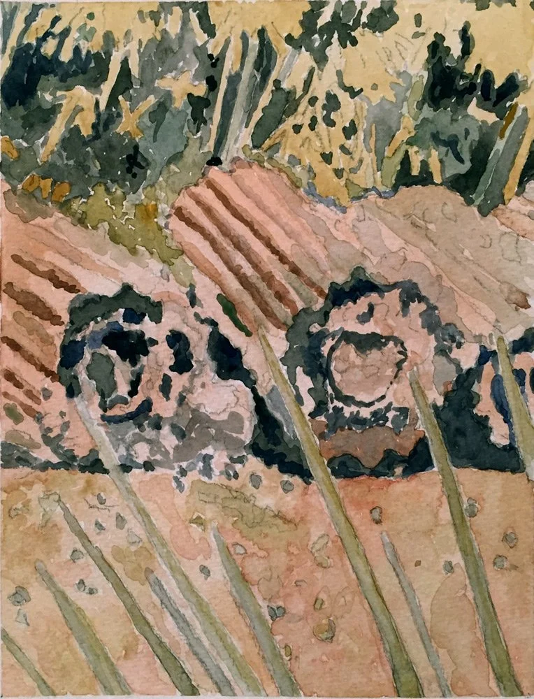 Cactus, 2014 – 20 x 15 cm