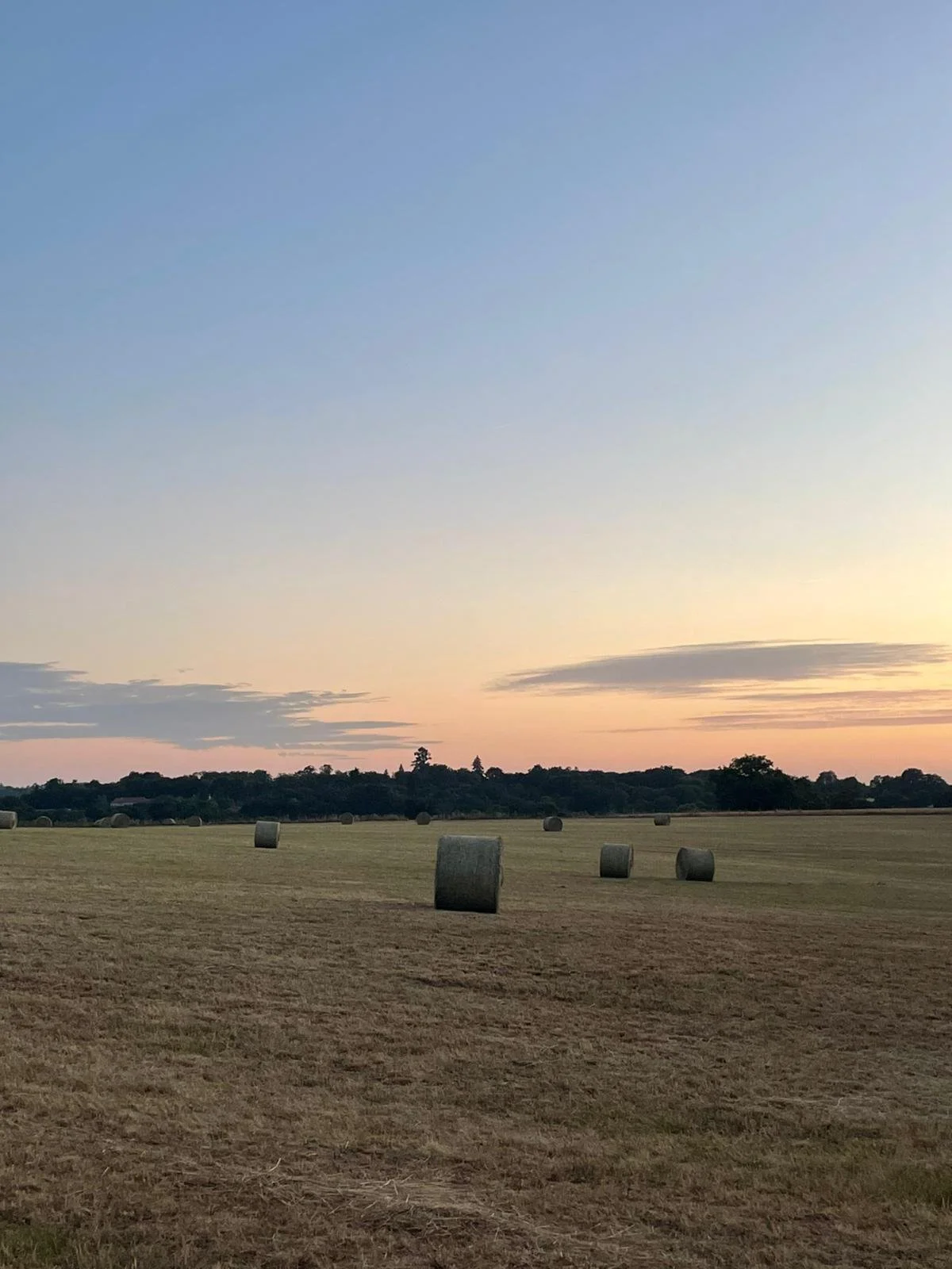 A field with round hay bales, trees in the background, and a sunset sky with soft clouds.