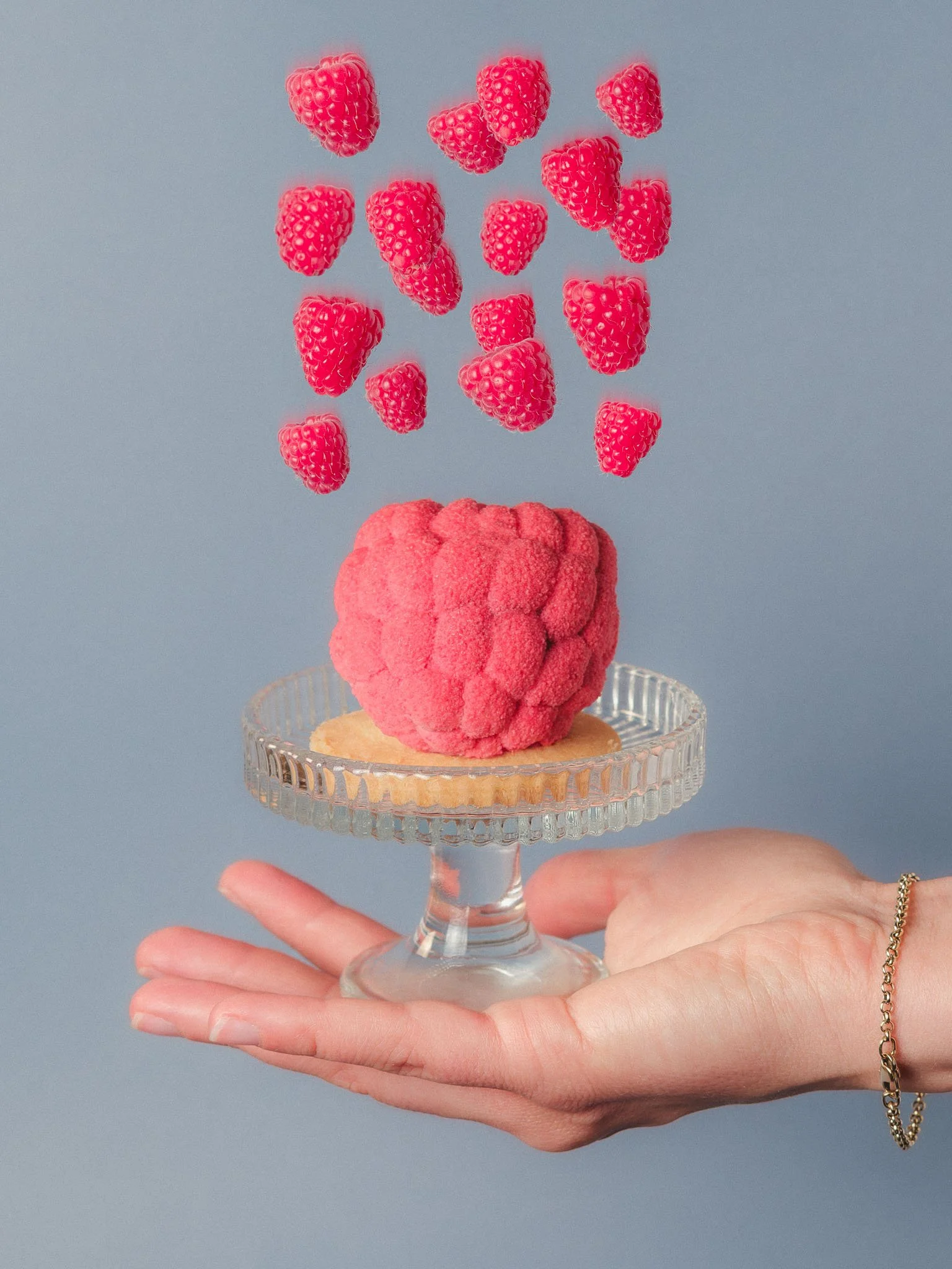 Framboise-1 copie.jpg