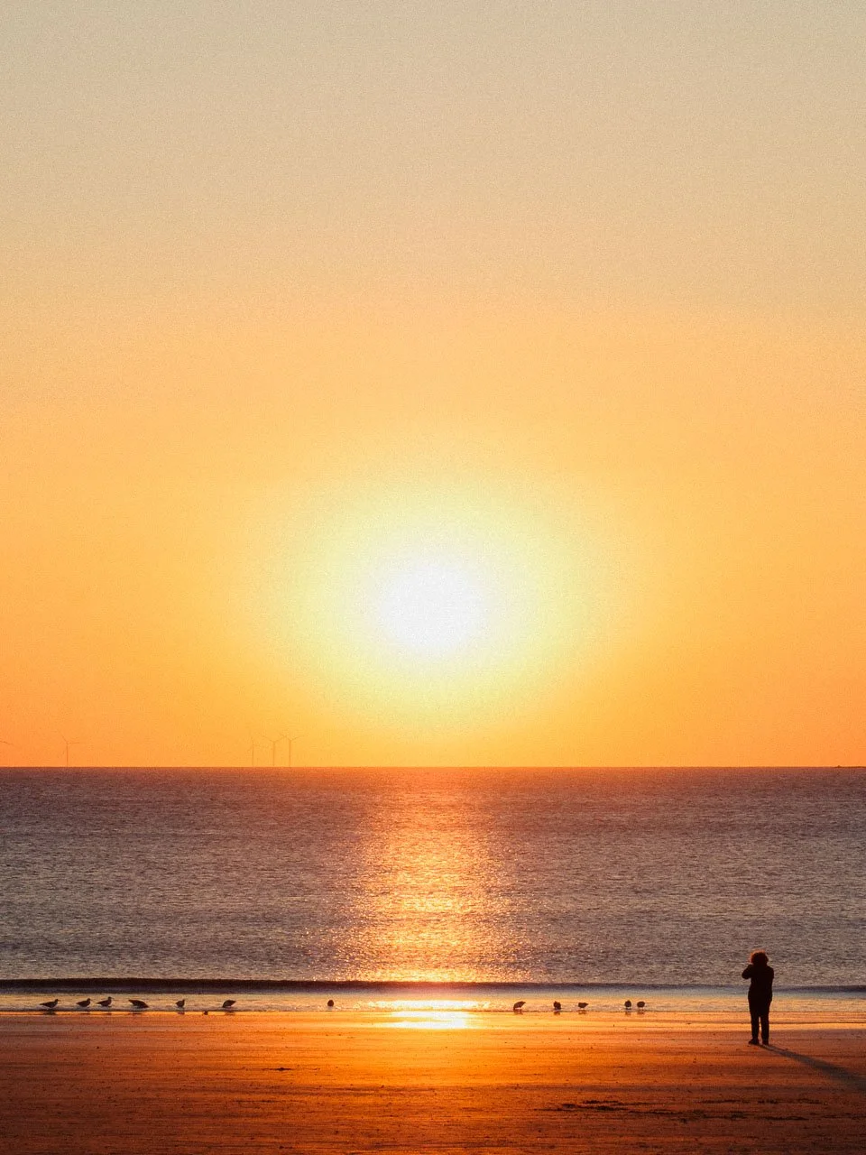 Coucher de soleil sur la mer avec un ciel orange, un enfant prenant une photo, des mouettes sur la plage, et des éoliennes en arrière-plan.