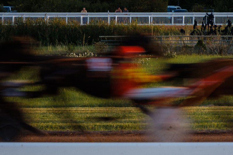 Course de chevaux en mouvement lors d'une course de galop.