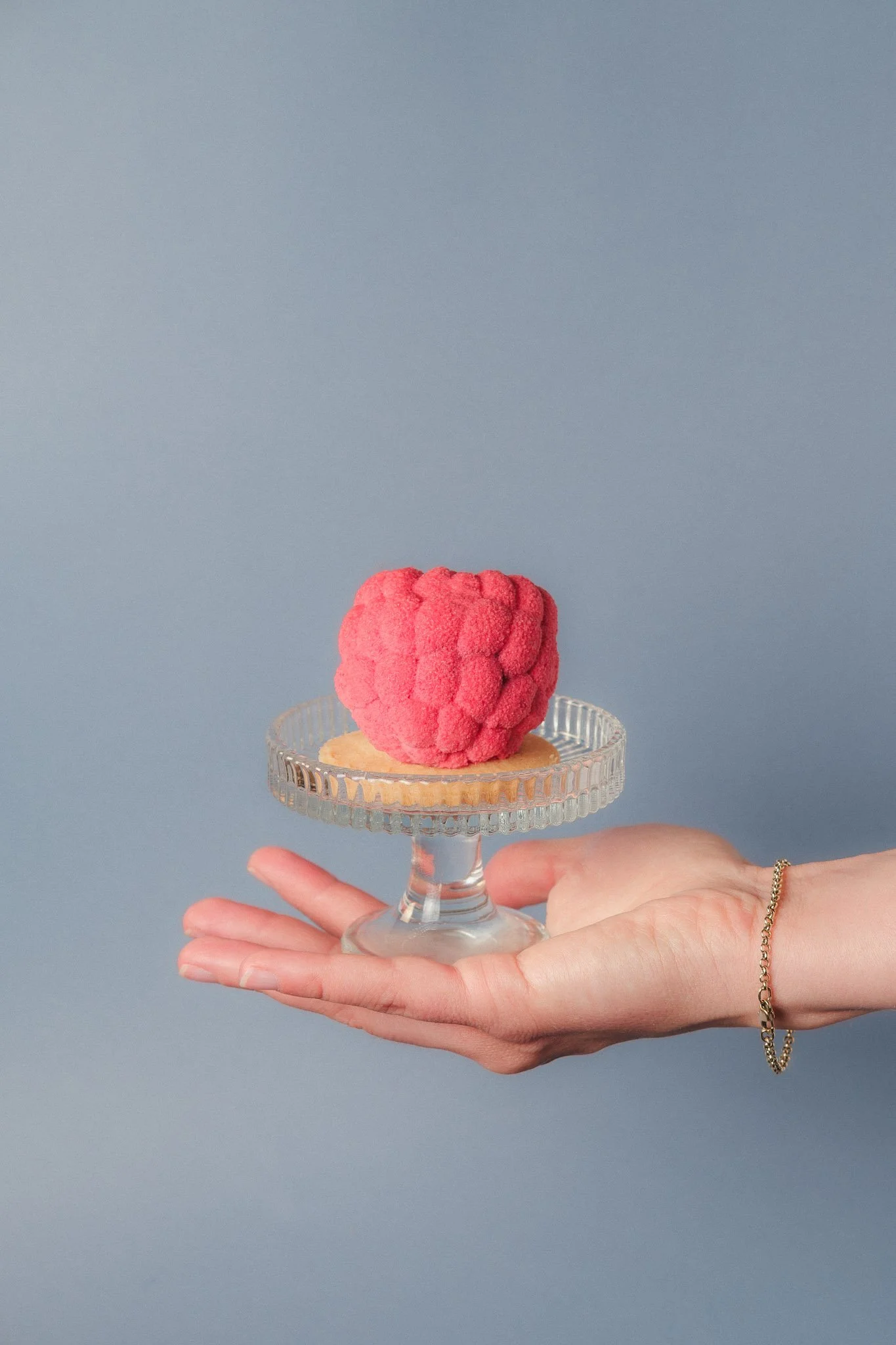 Framboise-1 copie-1.jpg