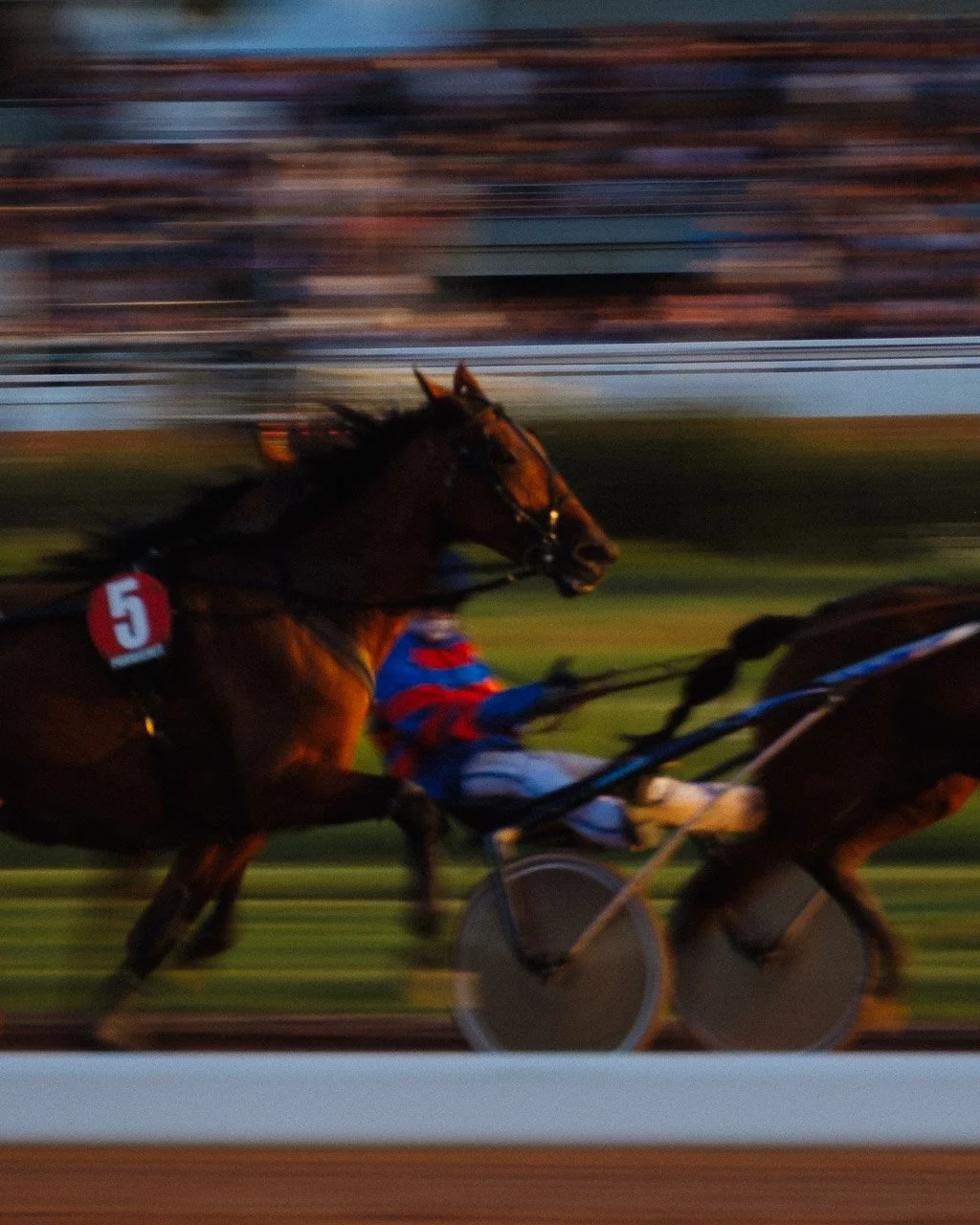 Un cheval de course avec un jockey en action sur une piste à pornichet. Le cheval porte le numéro 5.