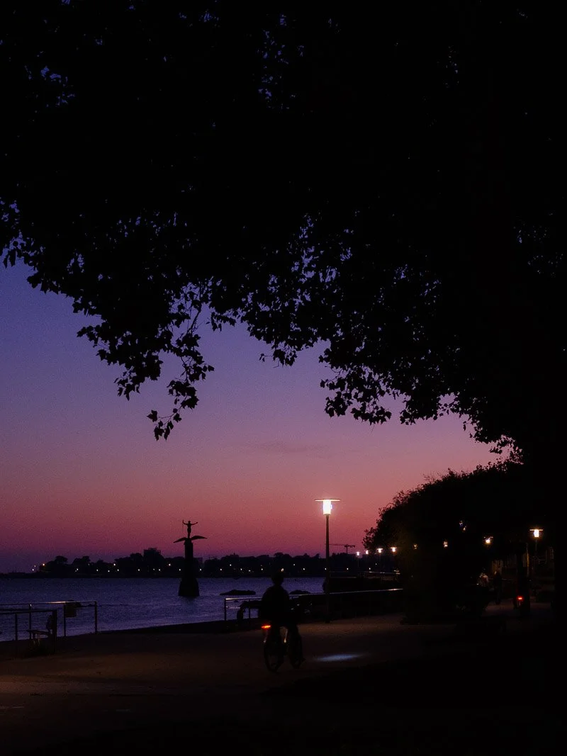 Coucher de soleil sur une promenade au bord de l'eau, avec un monument en forme d'oiseau ou de figure humaine, des lampadaires allumés, des arbres en silhouette et une personne avec un vélo.