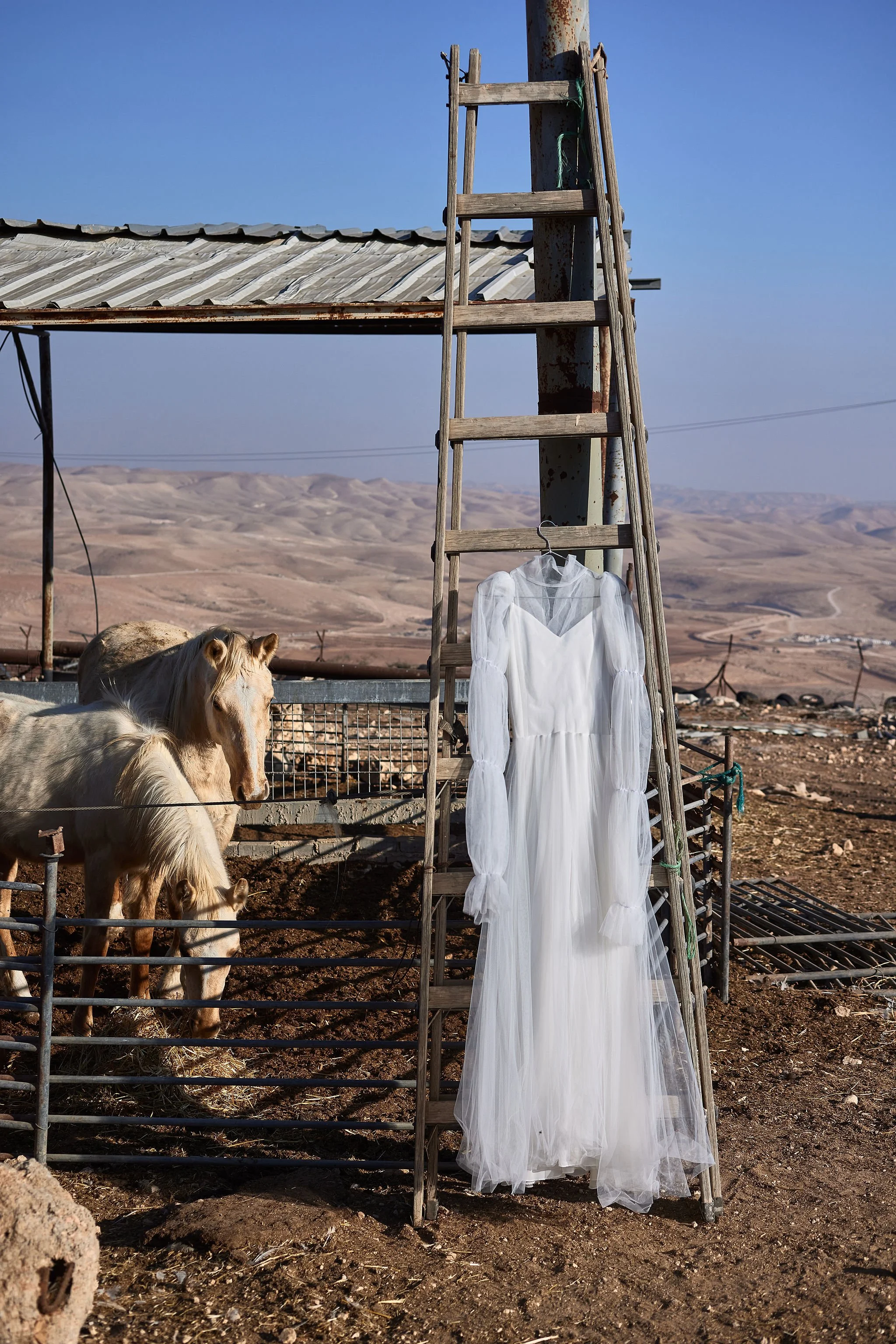 A white wedding dress is hanging on a hanger on a wooden ladder outdoors, with horses in a fenced area and a desert landscape in the background.