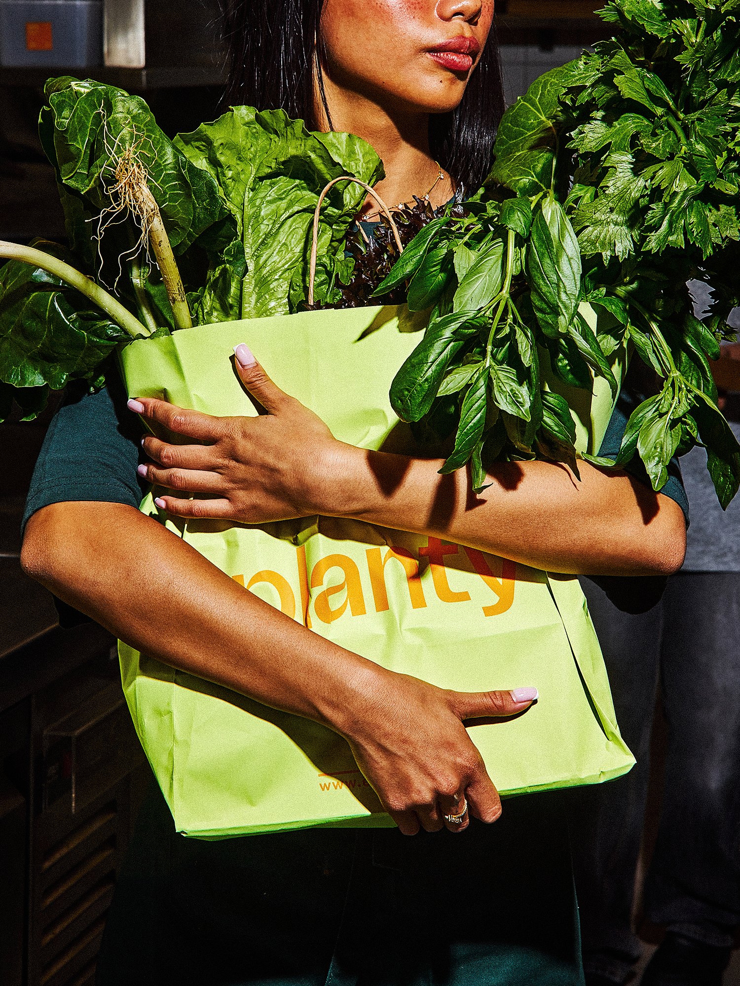 Planty0318.jpg
