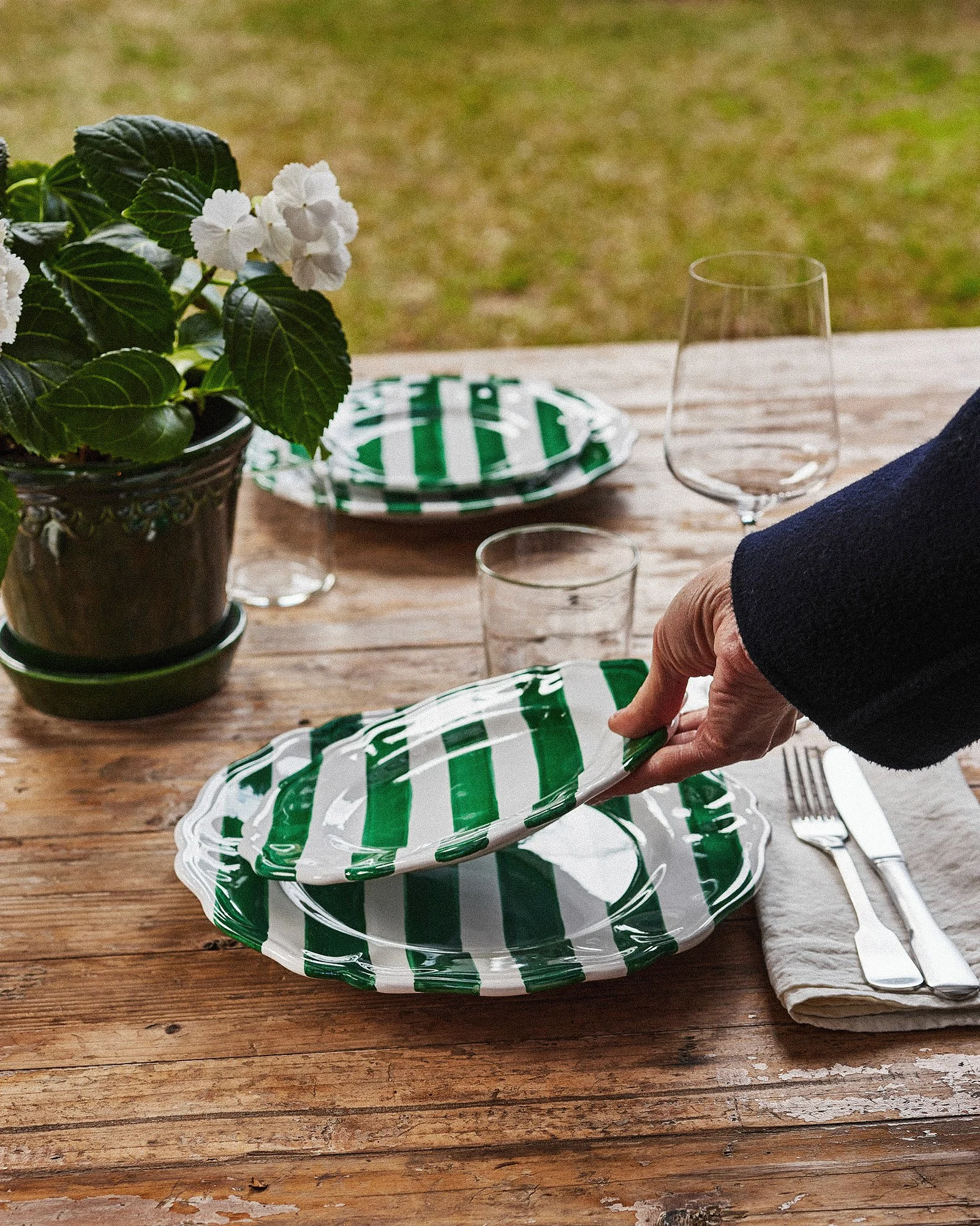 A person is setting a table with green and white striped plates on a wooden table, with a potted plant with white flowers nearby and empty glasses and utensils placed beside the plates.
