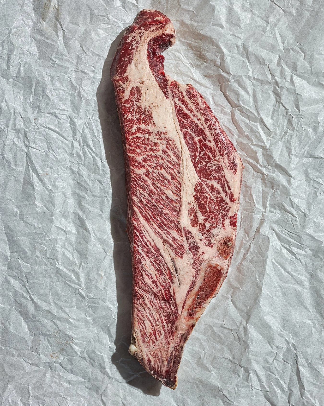 temerlin 16070033.jpg