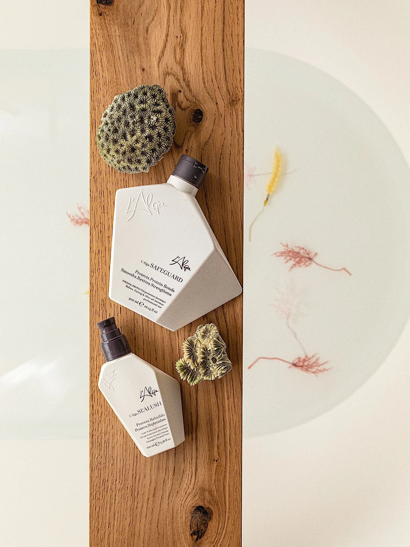 Two bottles of skincare products, a round cactus, and a decorative piece on a wooden surface.