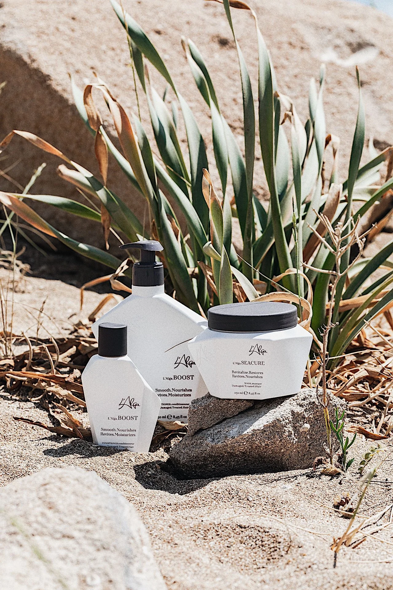 Three bottles of hair care products placed on rocks among sand and desert plants, including a large leafy shrub.