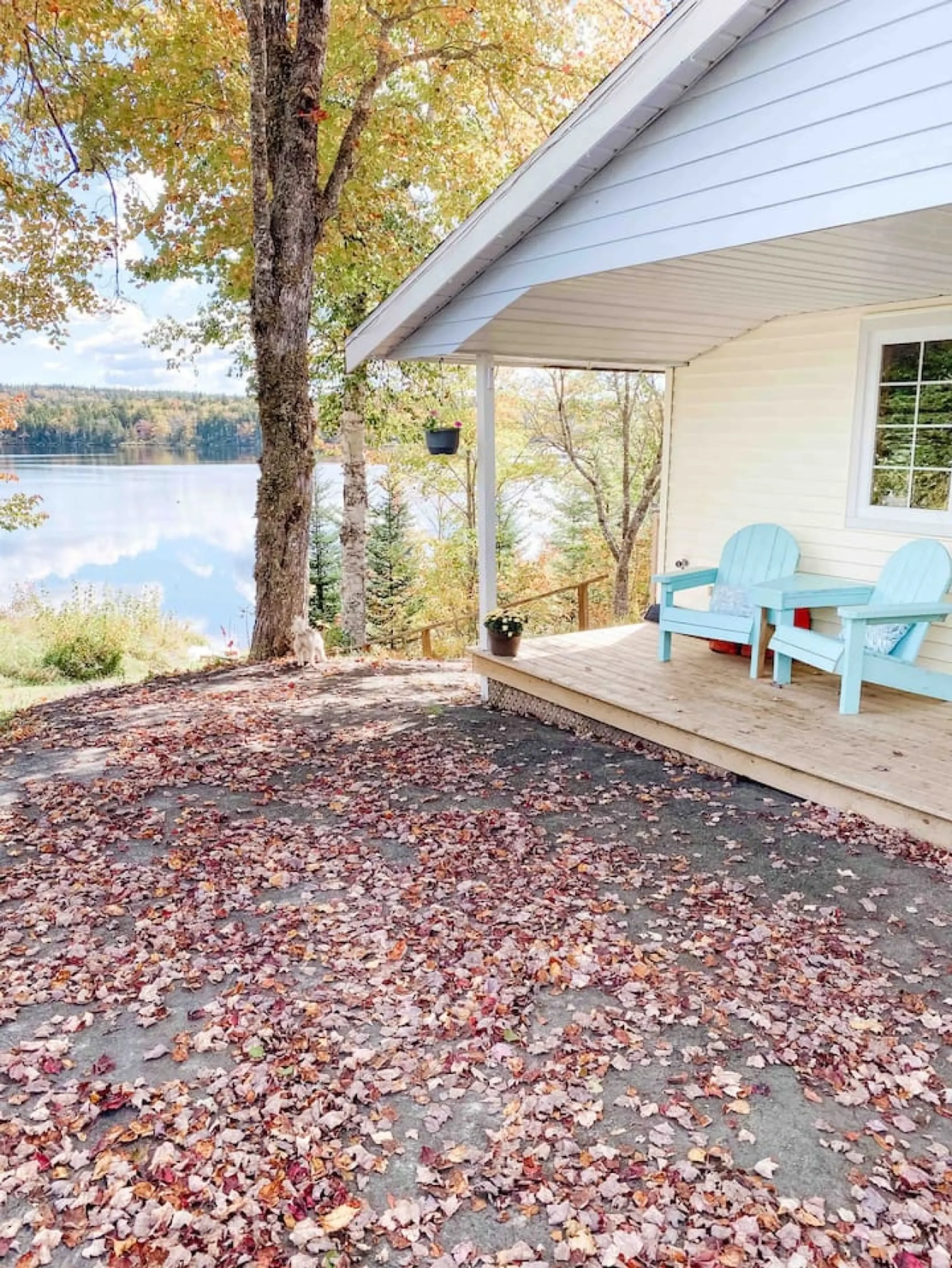 Wildbloom - Lakefront Cottage in Chester