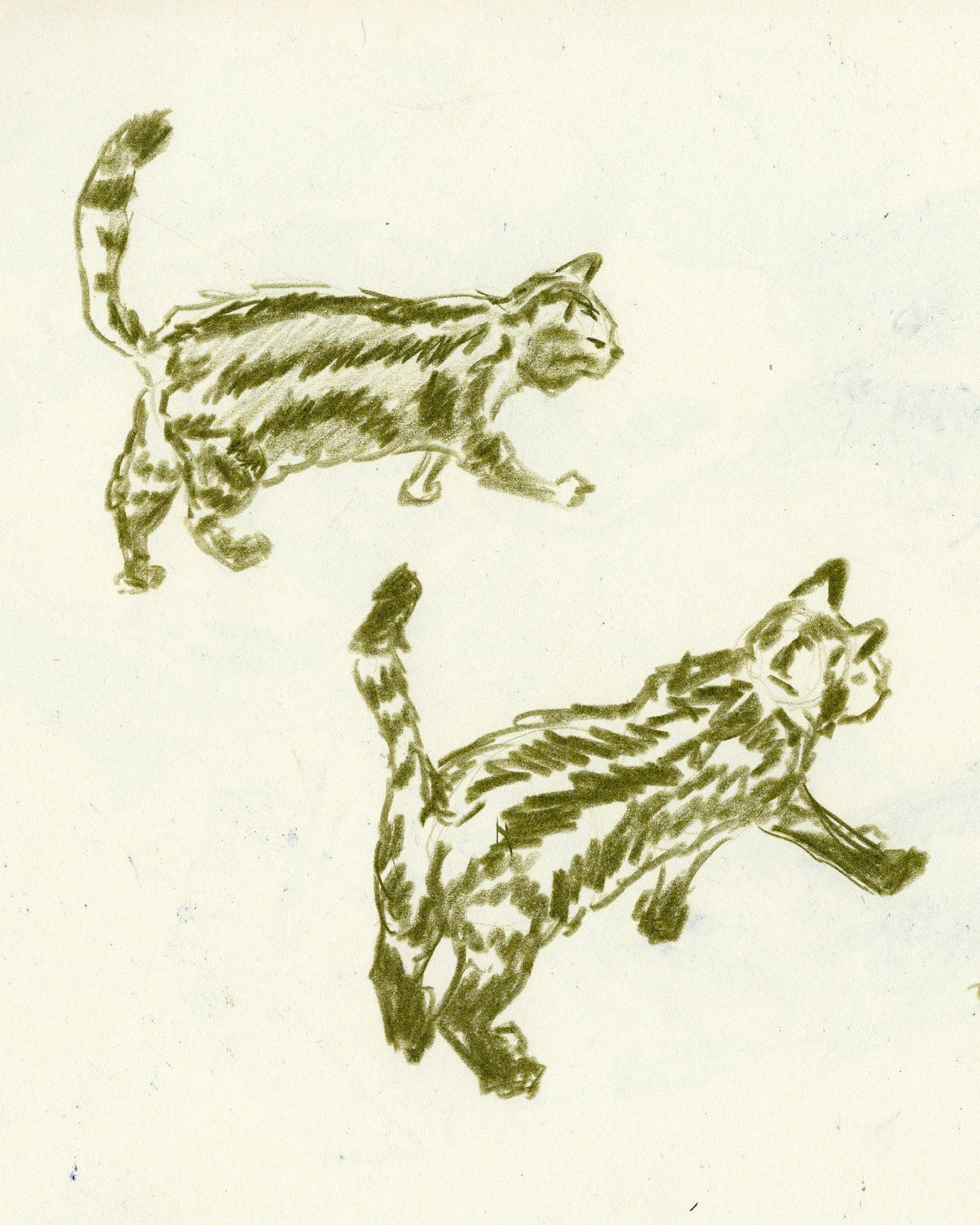 cat about town, wonky leg

.
.
.
.

#sketchbookdrawing #drawingpractice #artpractice #drawingmatters